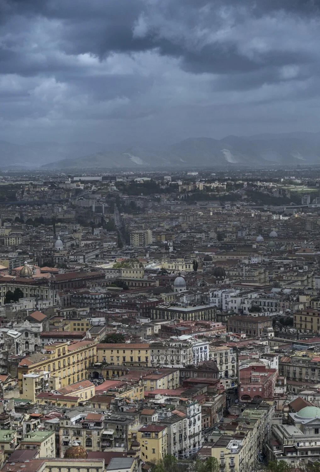 A panoramic view of an Italian city with numerous historic buildings, domes, and rooftops under a cloudy sky, with mountains in the background.