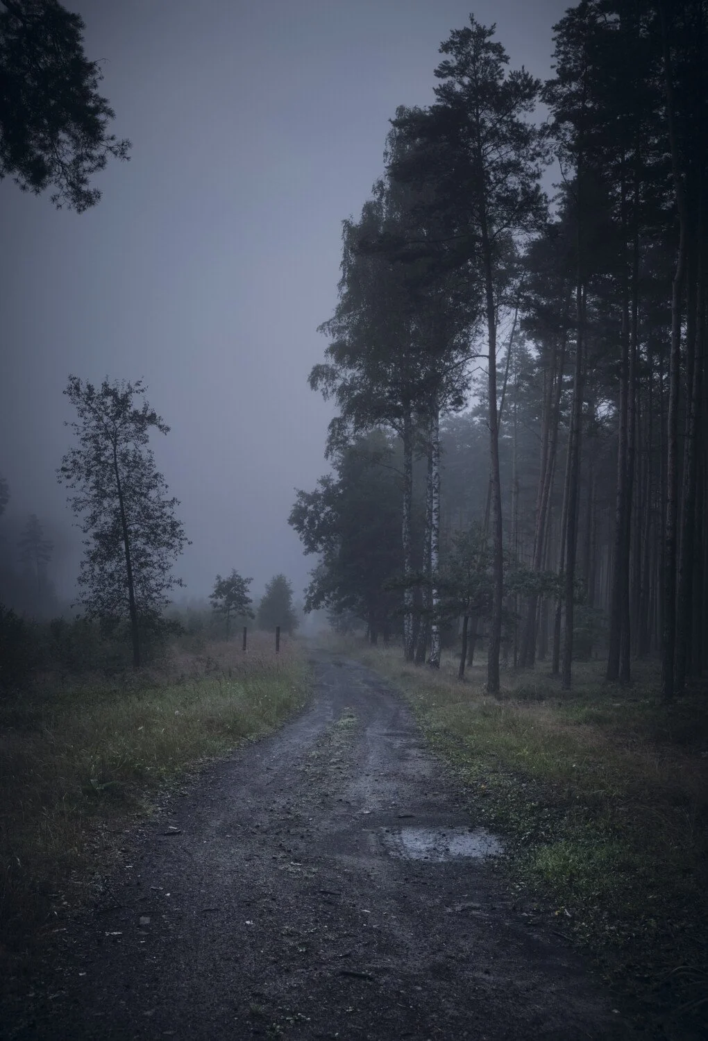 5:50 A.M