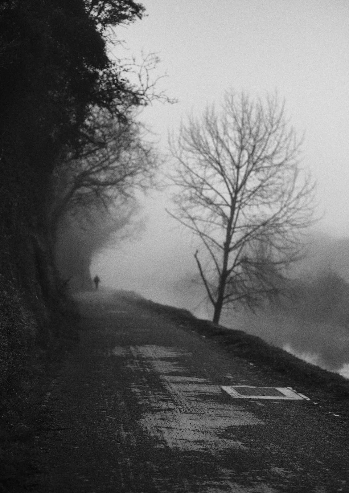 A foggy, deserted rural road lined with leafless trees on a misty day.