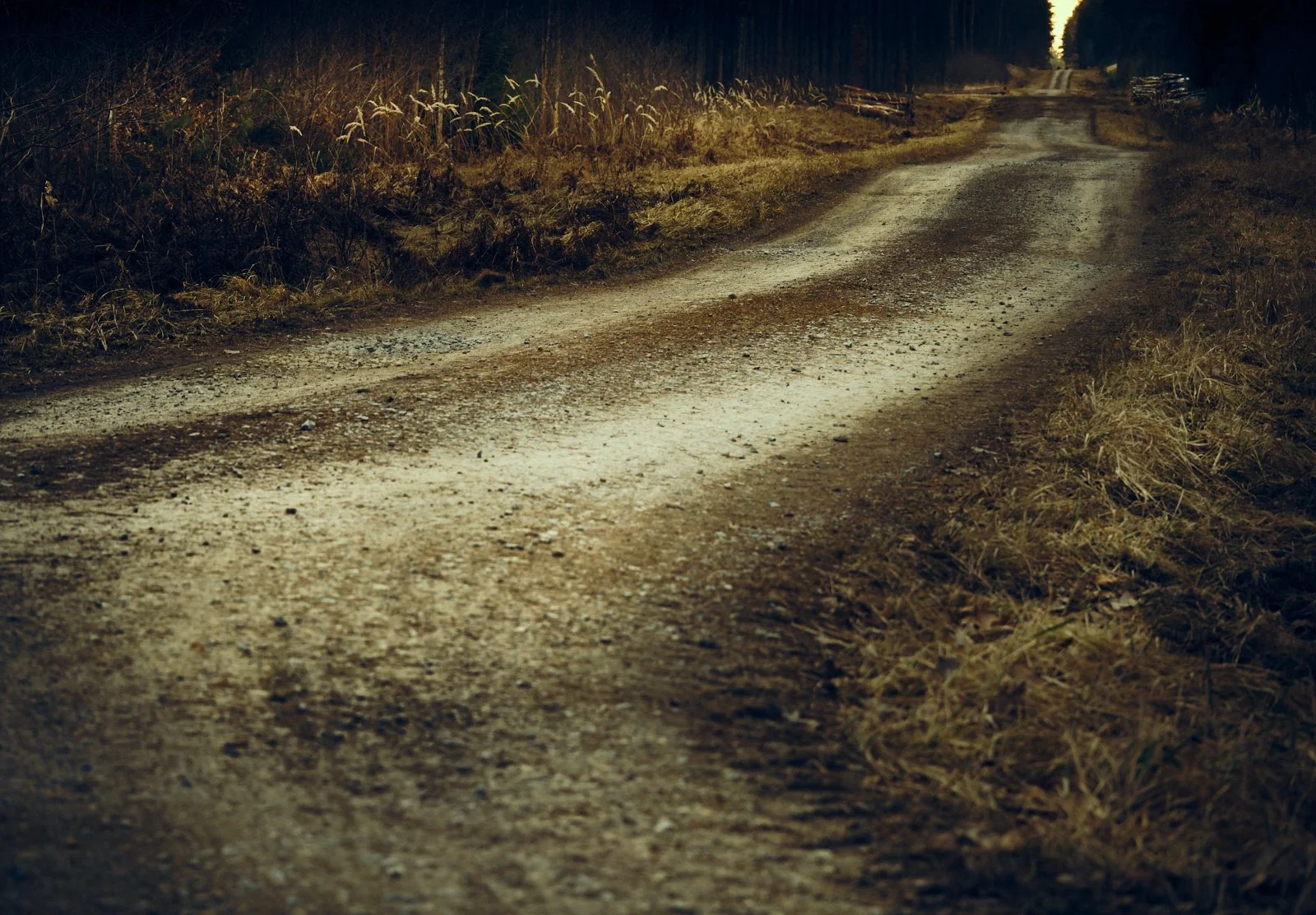 Dirt road through a forest in Poland, with trees on both sides and faint lighting in the distance.