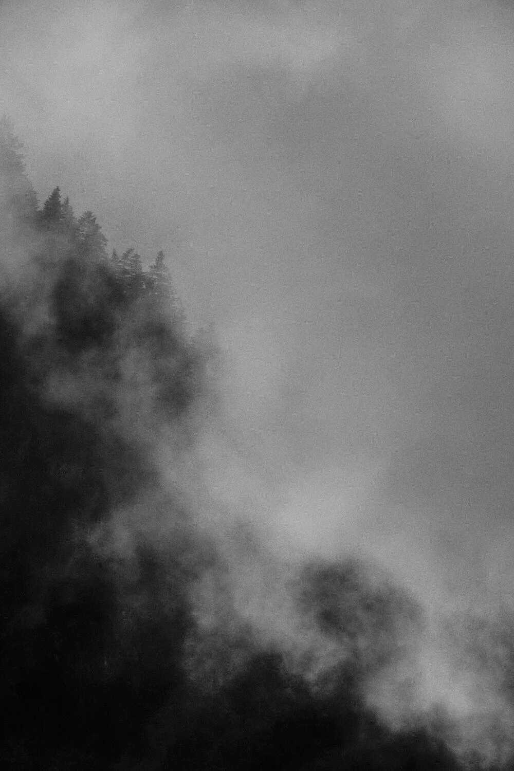 Black and white photo of a forested mountain with clouds and mist.