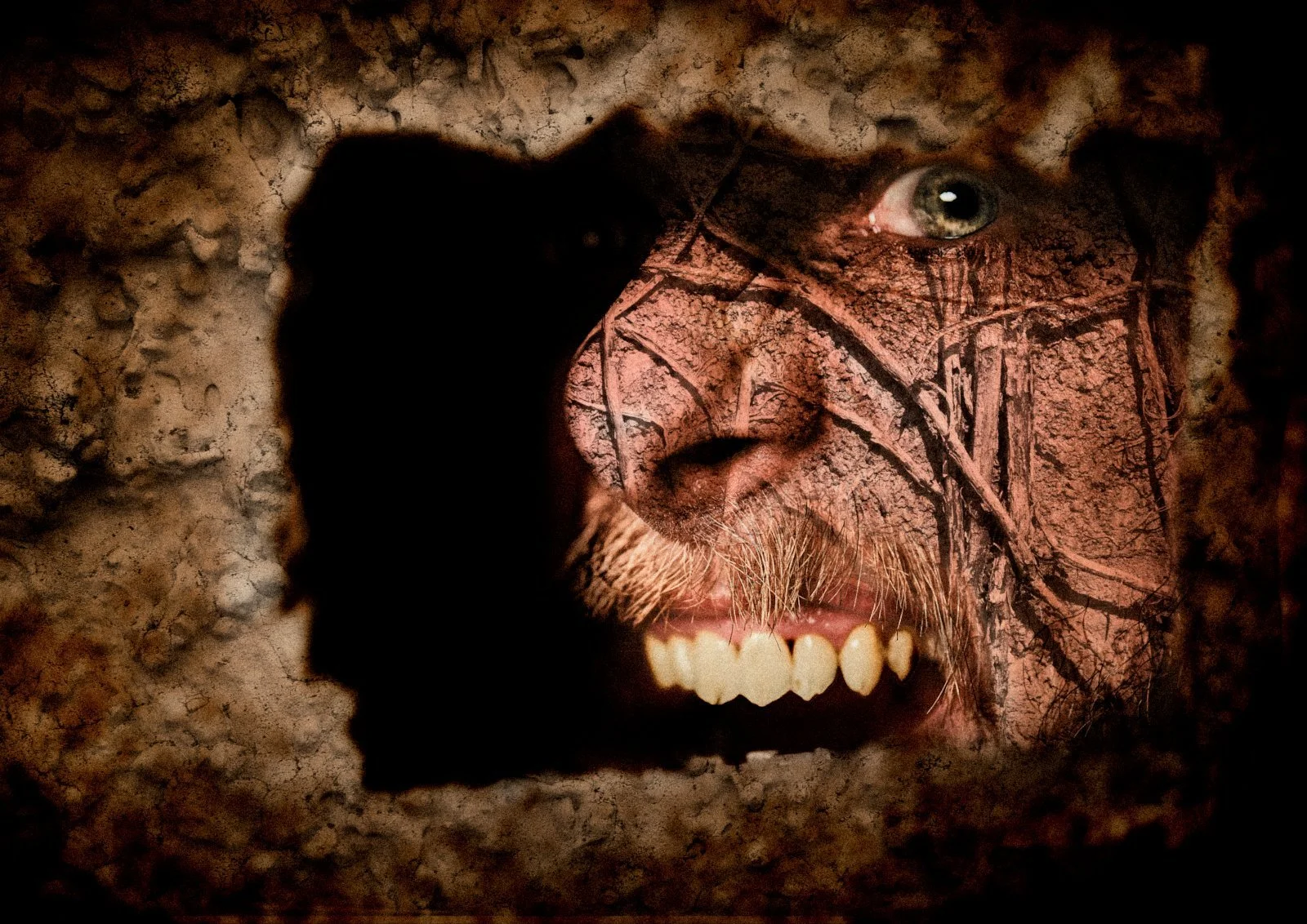 A close-up of a person's face with a textured, rock-like overlay. The person is winking with one eye, has a mustache, and is showing teeth with a somewhat menacing expression.
