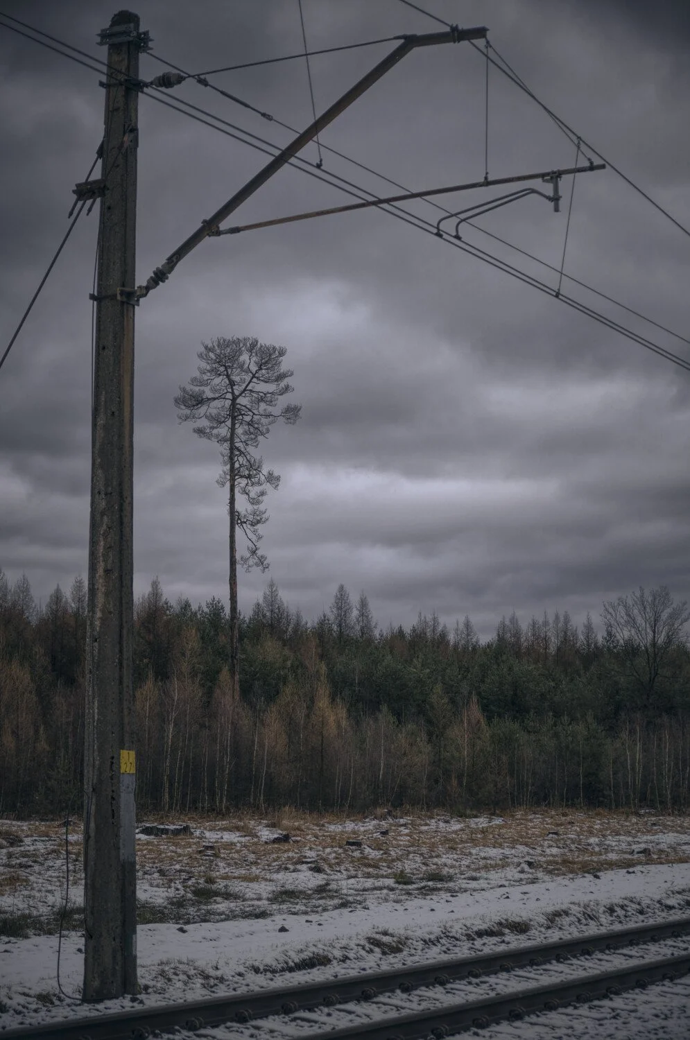 Overcast sky with leafless trees, a snow-covered ground, a railroad track, and an electrical pole with wires.