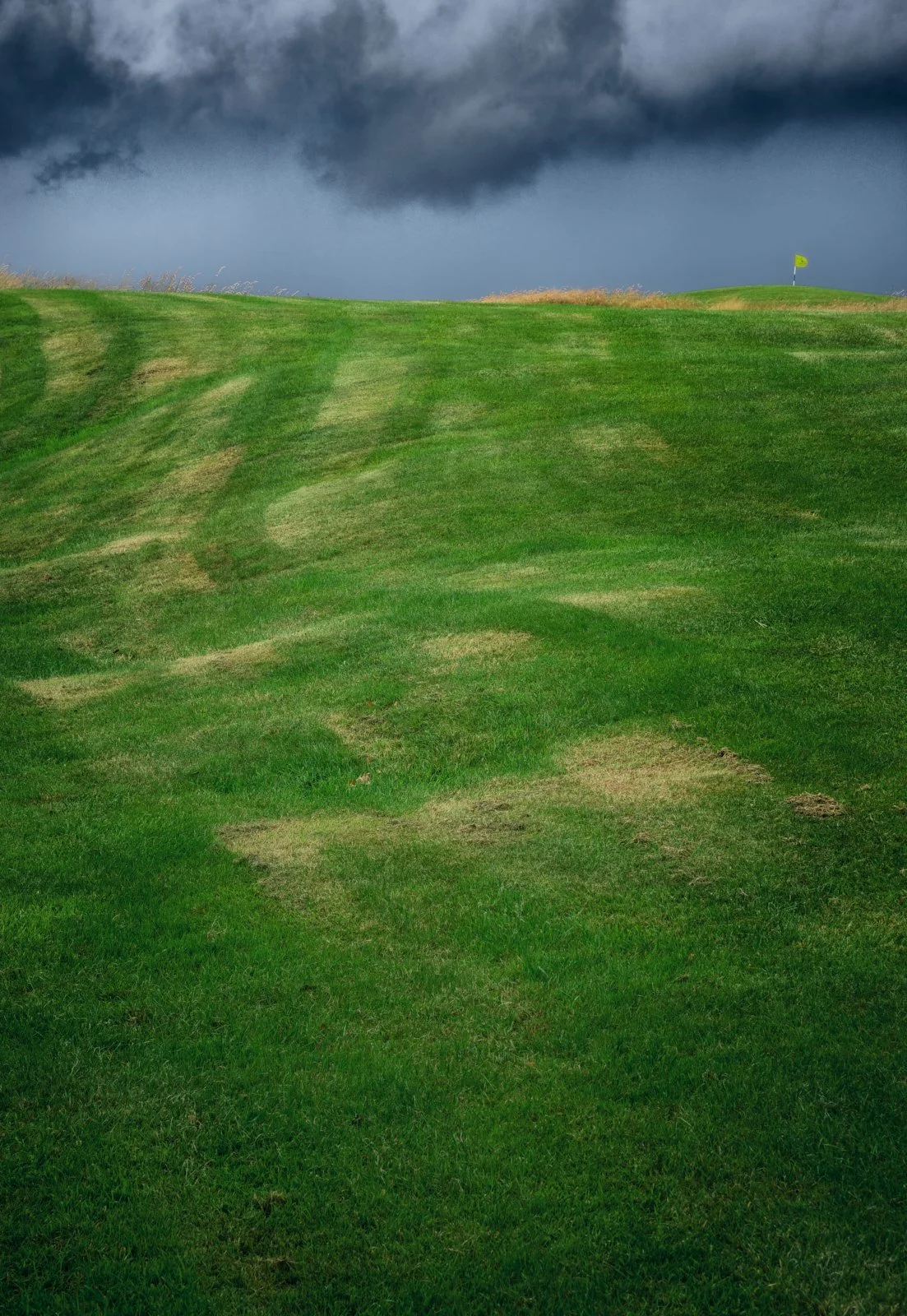 irish-summer.jpg