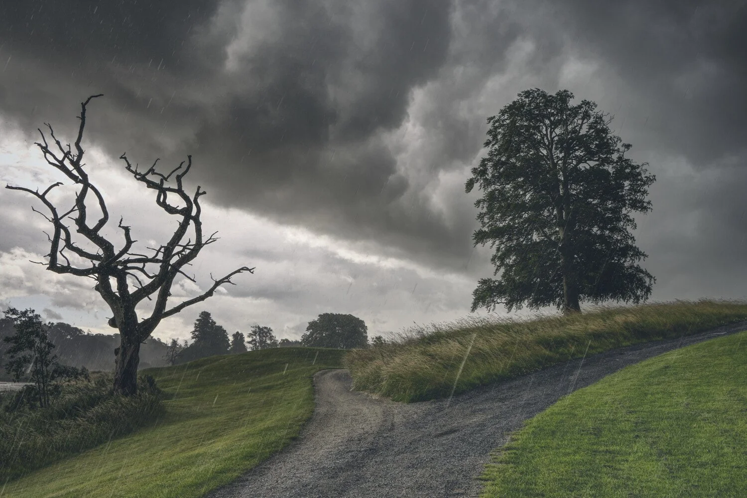 A gravel path curves through a grassy hillside with two trees; one is leafless and twisted, the other is full and leafy. Dark storm clouds and rain fill the ominous sky.