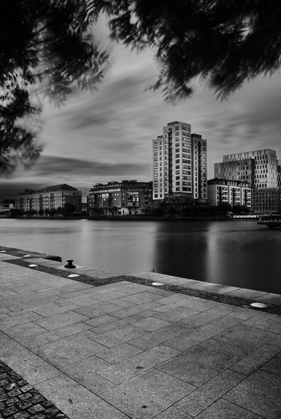 Black and white photo of a cityscape with tall buildings along a waterfront, framed by trees in the foreground, with a paved walkway by the water.