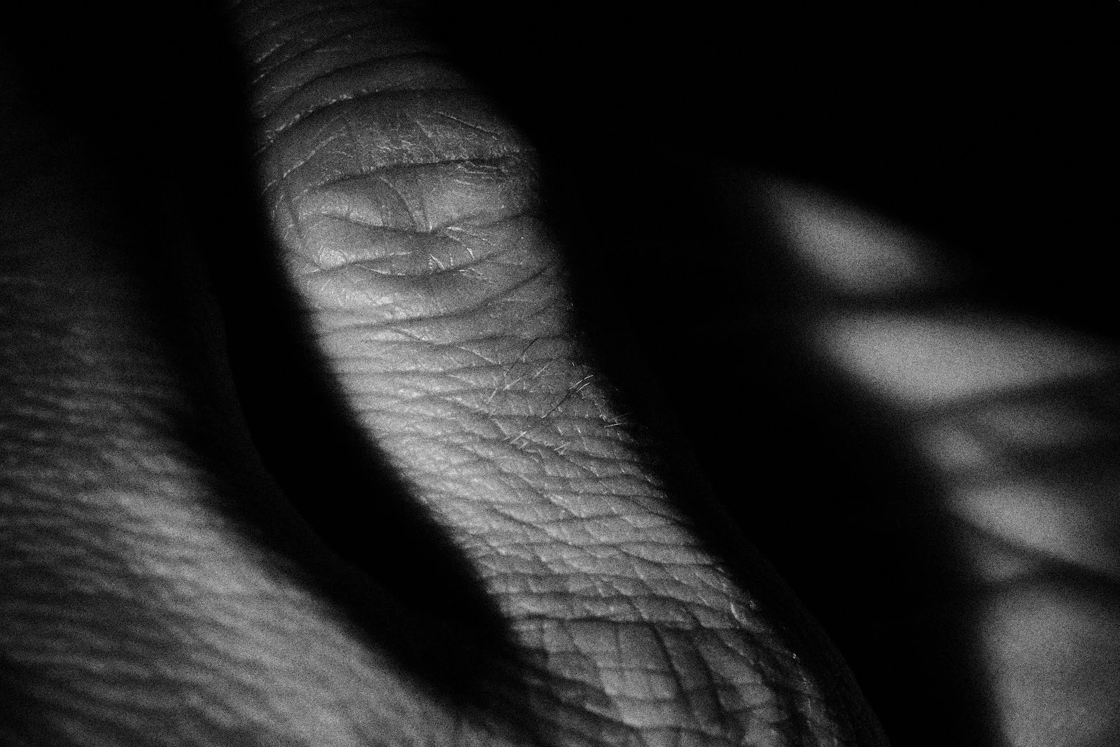 Known/Unknown