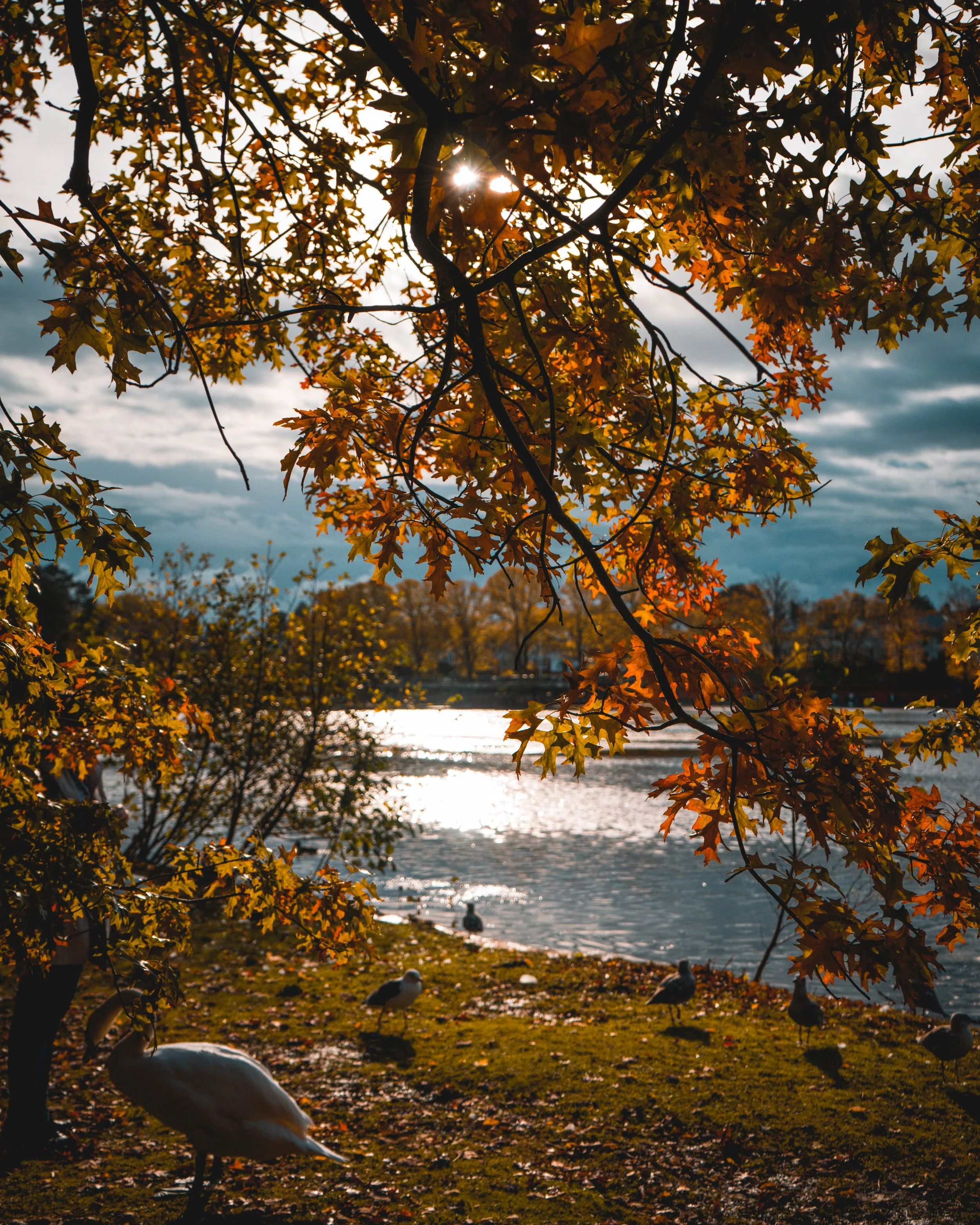 IG_1230.jpg