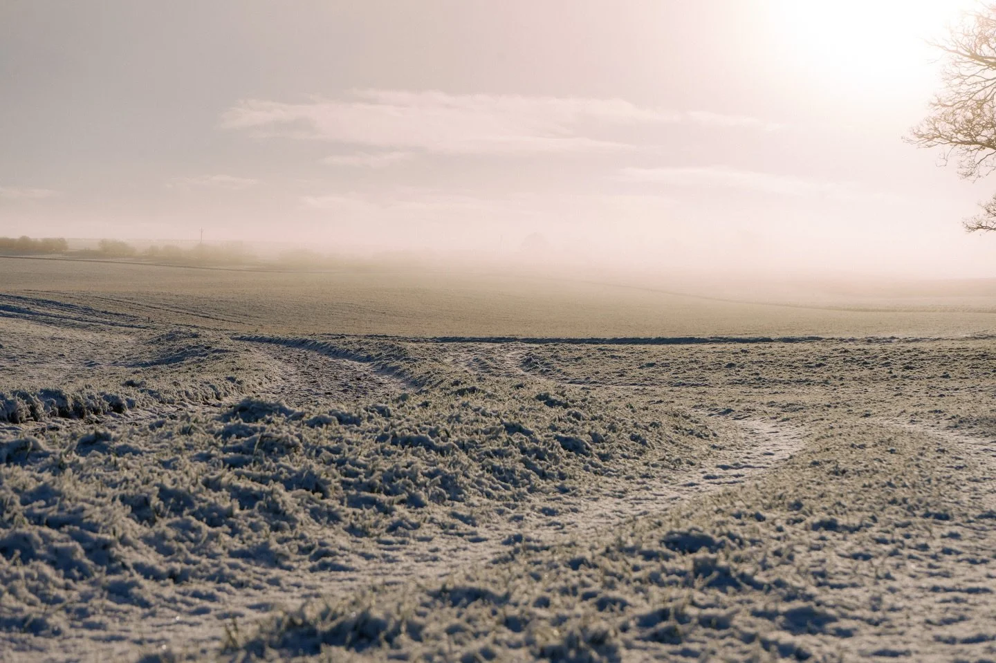 Misty Gallops

Camera settings:
Camera &ndash; Sony A7II
Focus length &ndash; 70mm
ISO- 100
SS-&nbsp;1/1000
f/9

#yorkshire #snow #misty #landscape #gallops