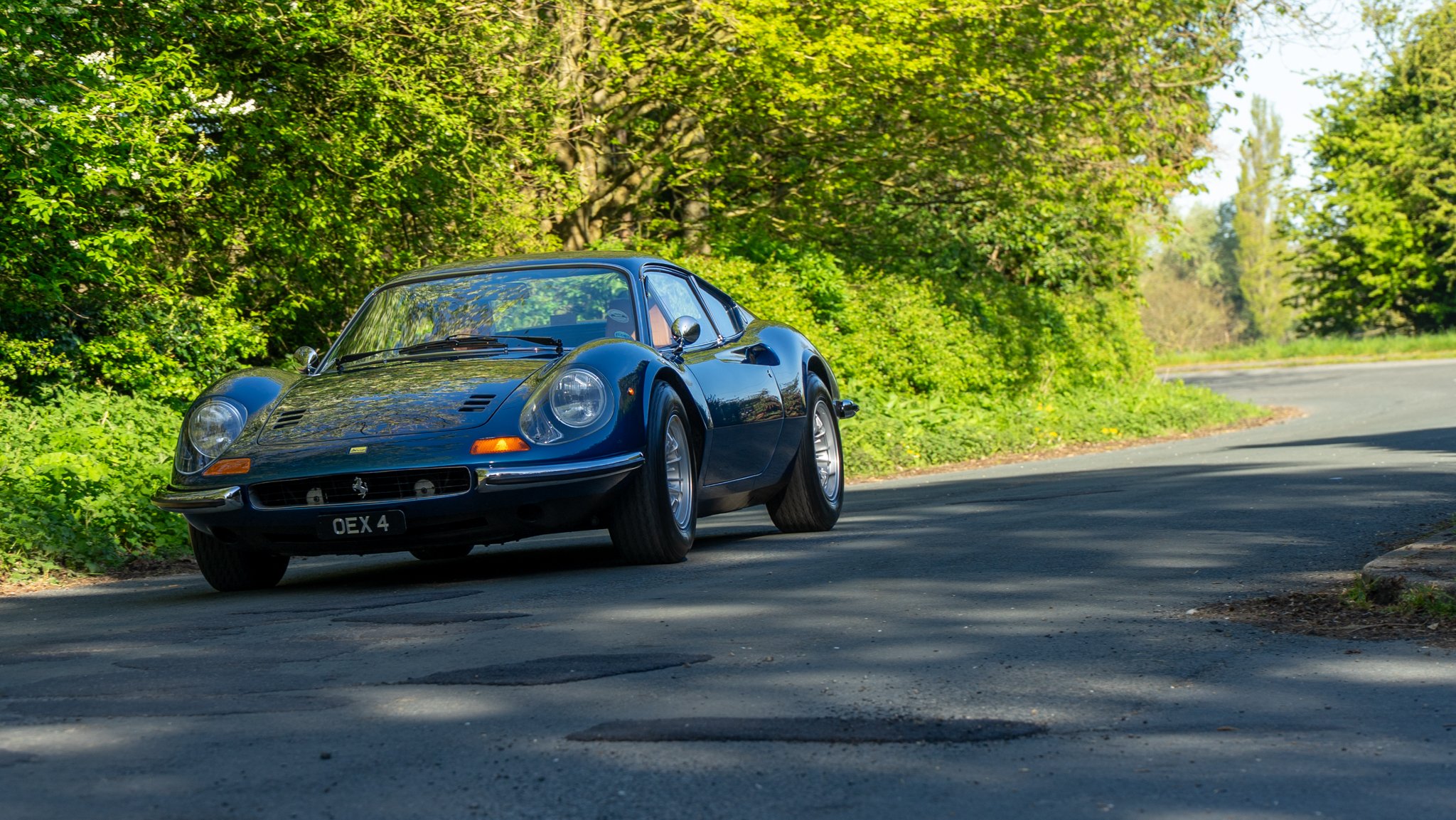 DSC02923.jpg