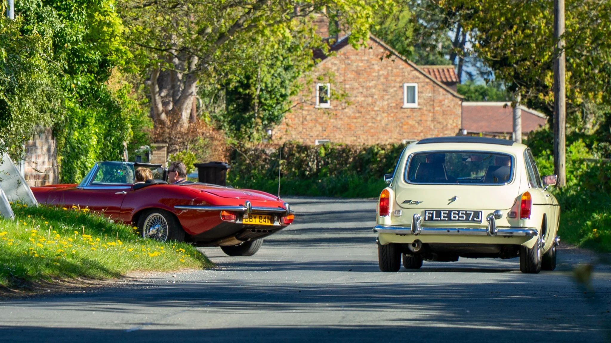 DSC02966.jpg