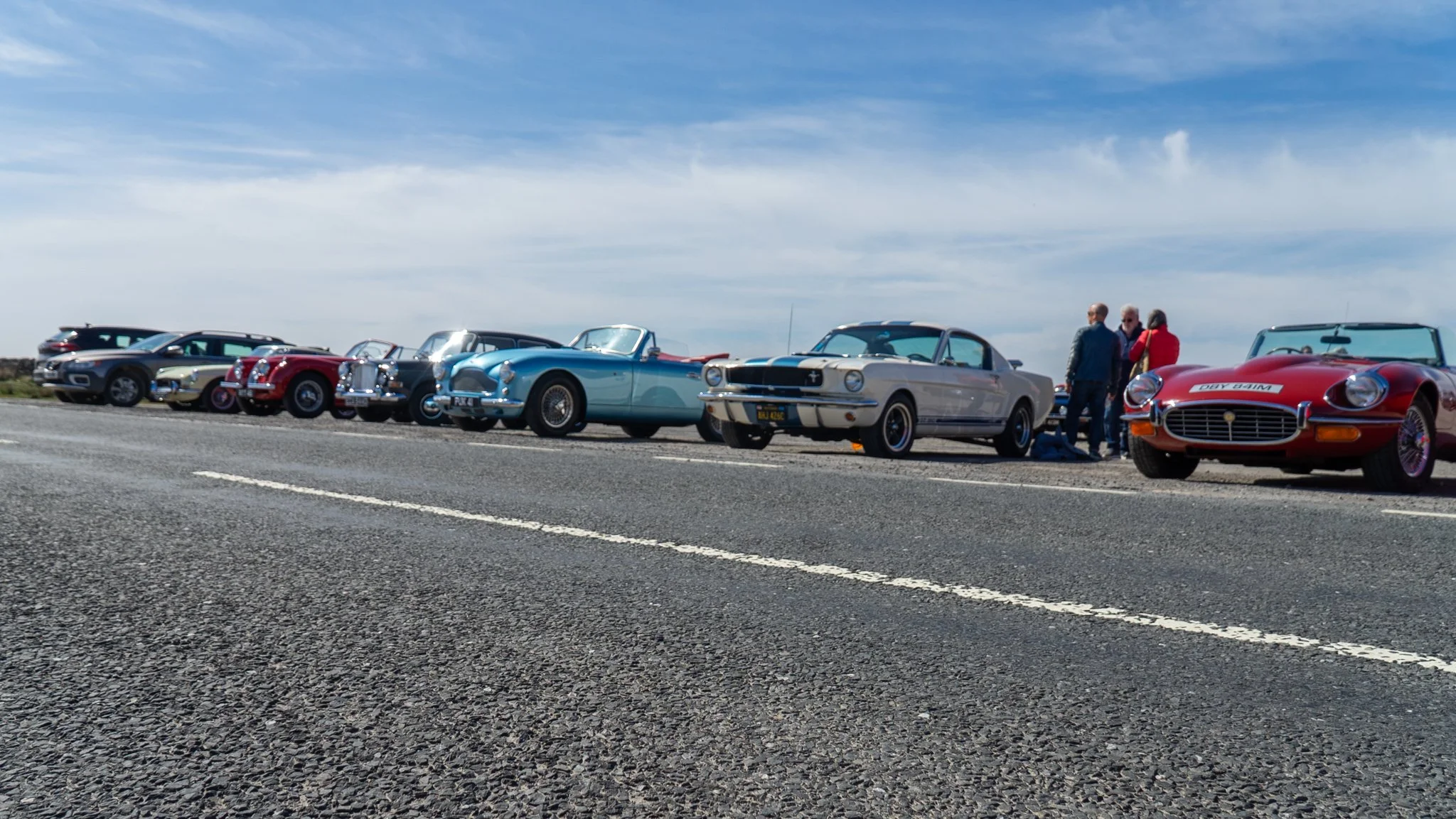 DSC03554.jpg