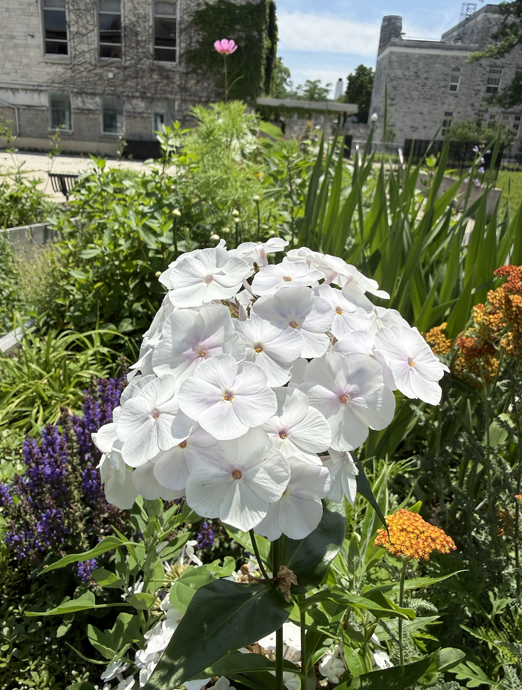 Gardens4Joy-July-5-2026-1.png