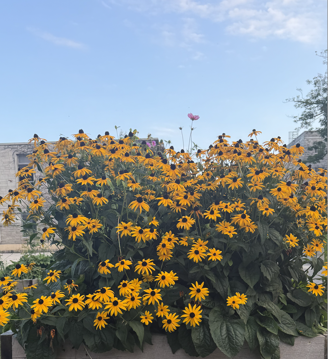 Sep-1-2026-9.png