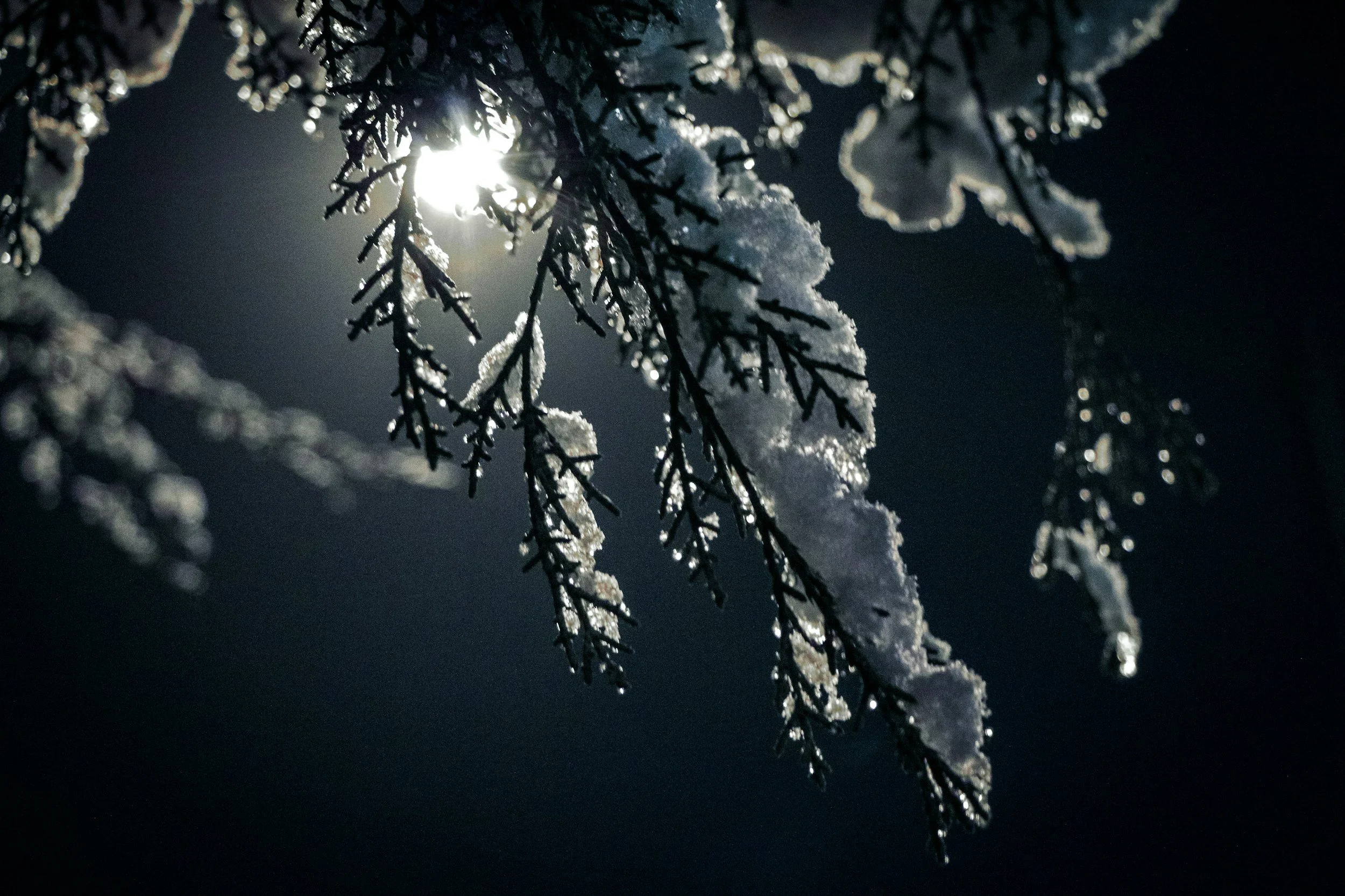 Finding Light in the Darker Months: Ways to Cope with Seasonal Depression and Winter Blues