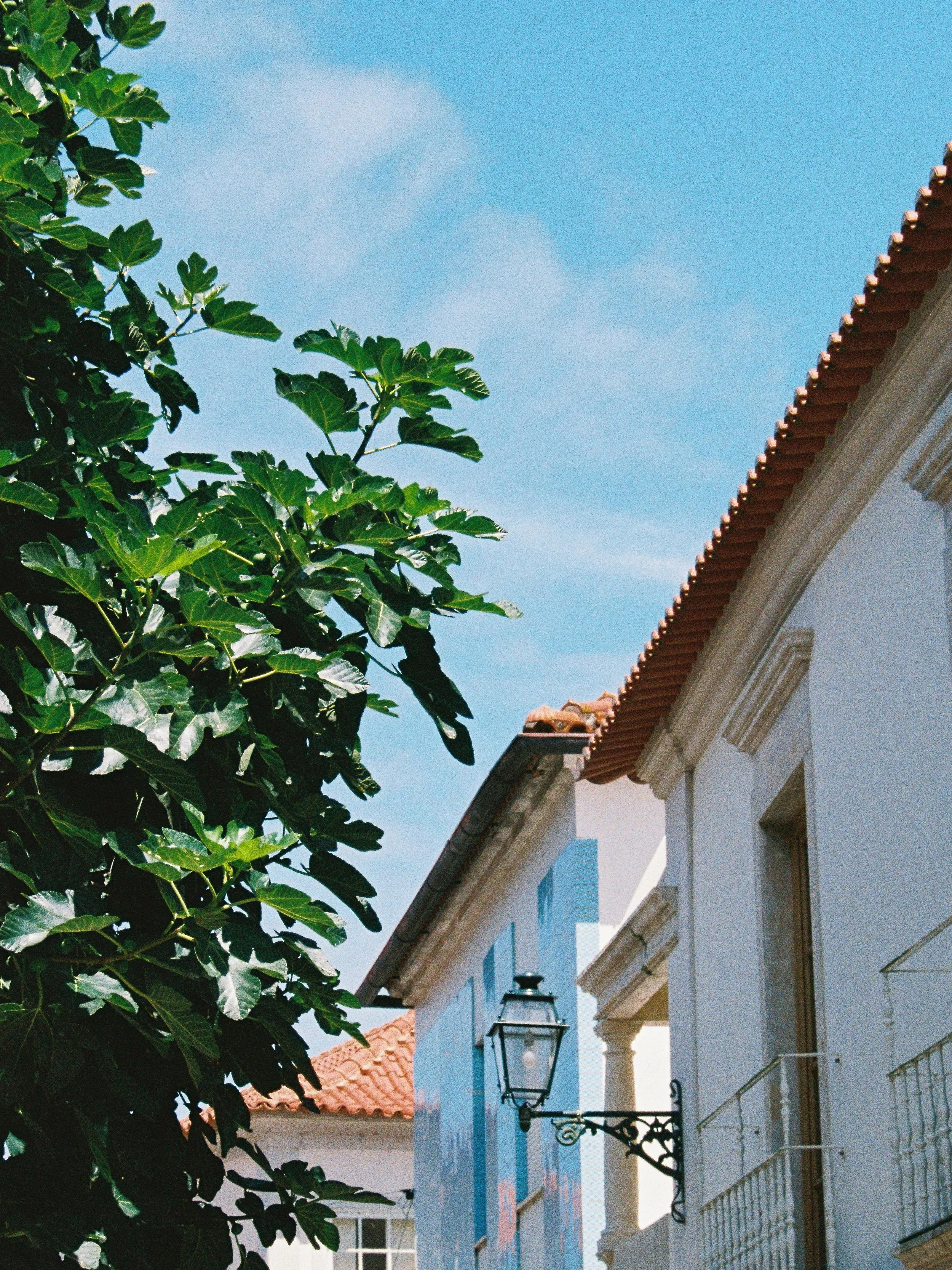 porto+portfolio+photos-29.jpg