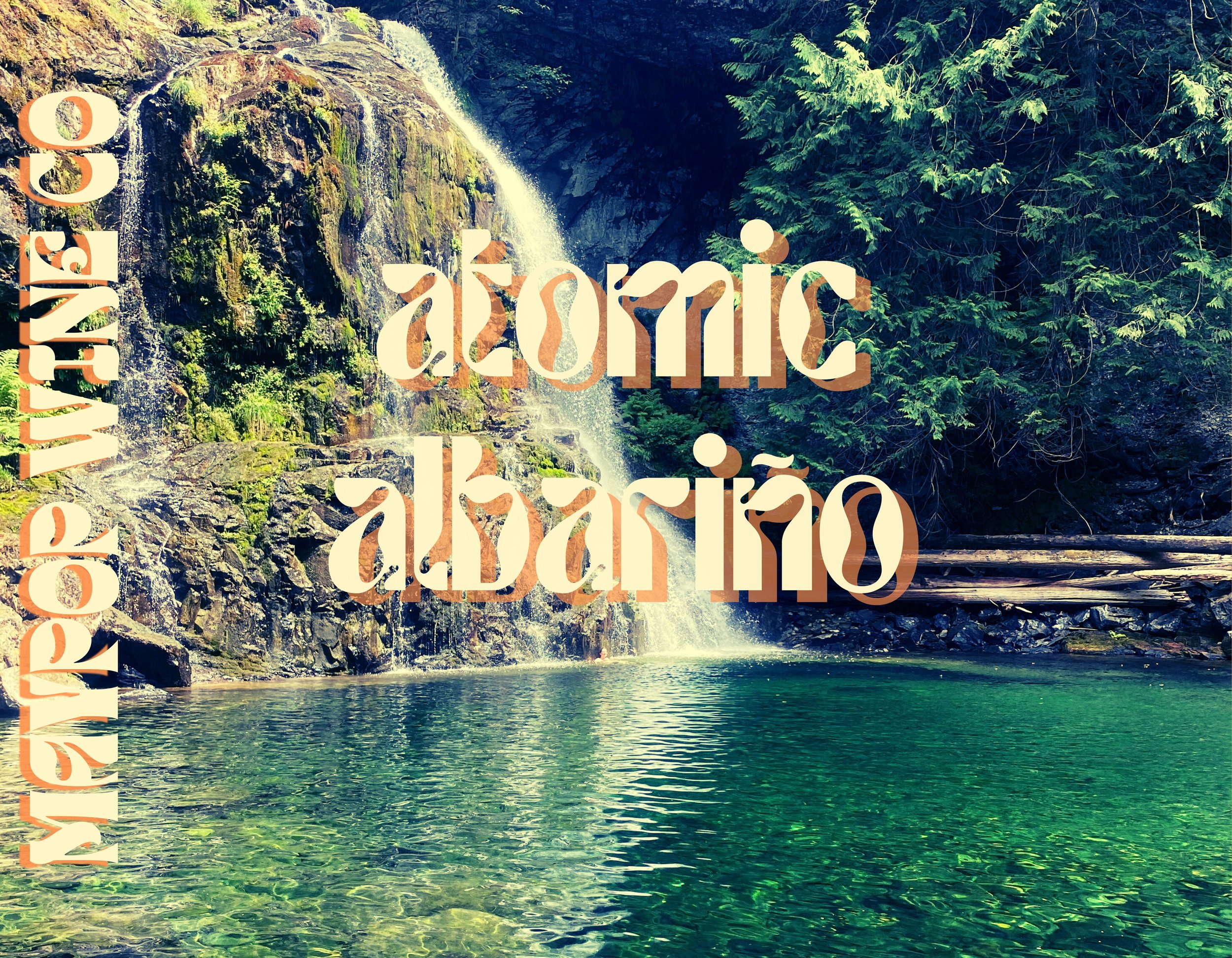 Albariño front.jpg