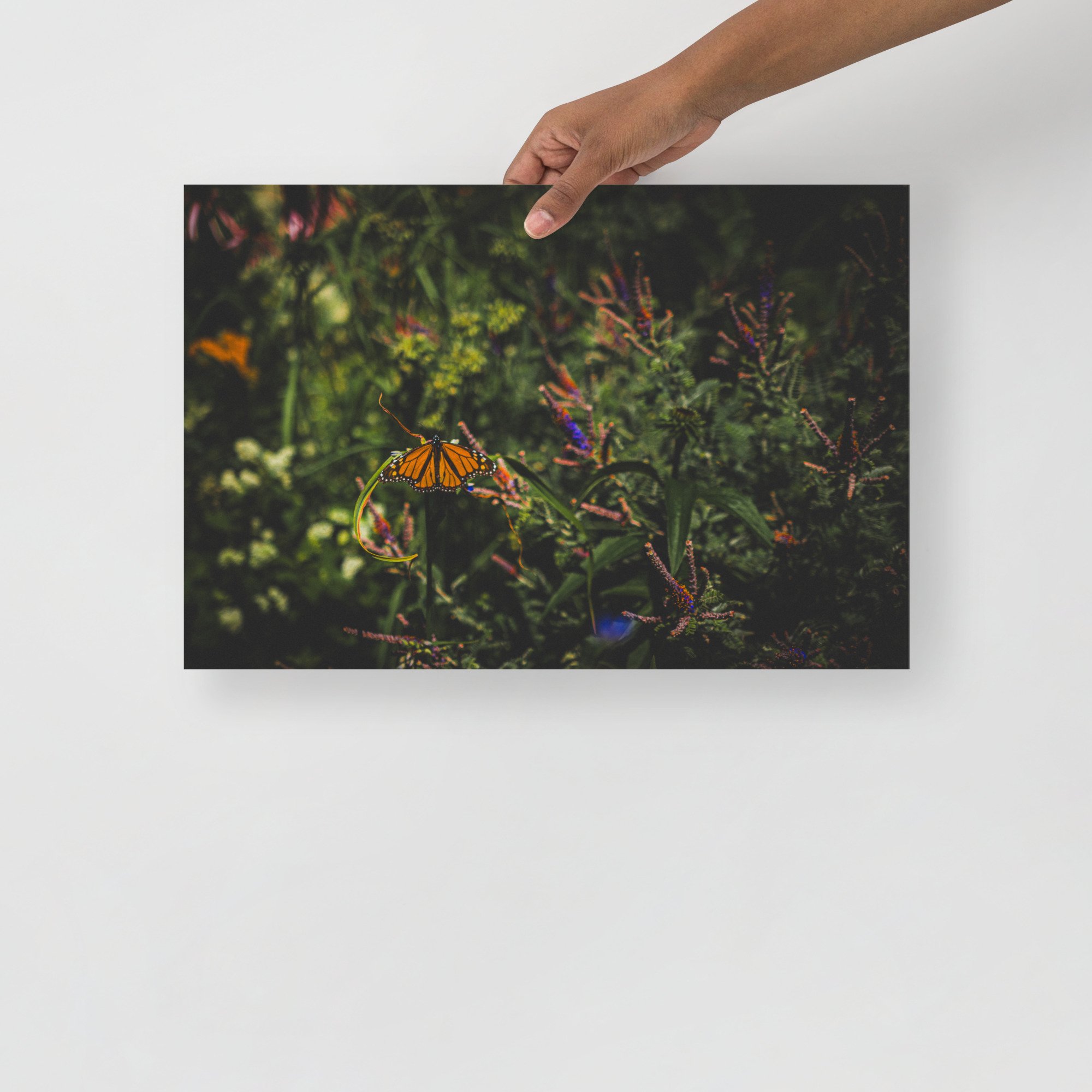 premium-luster-photo-paper-poster-(in)-12x18-front-68225ac8d1398.jpg