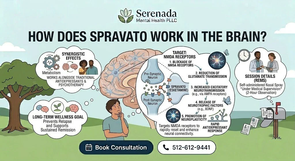 How Does Spravato Work in the Brain? A Plain English Guide