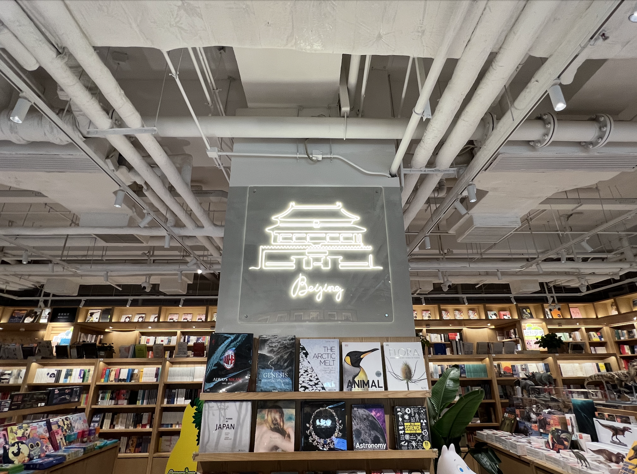 Screenshot 2025-05-03 at 10.58.58 PM.png