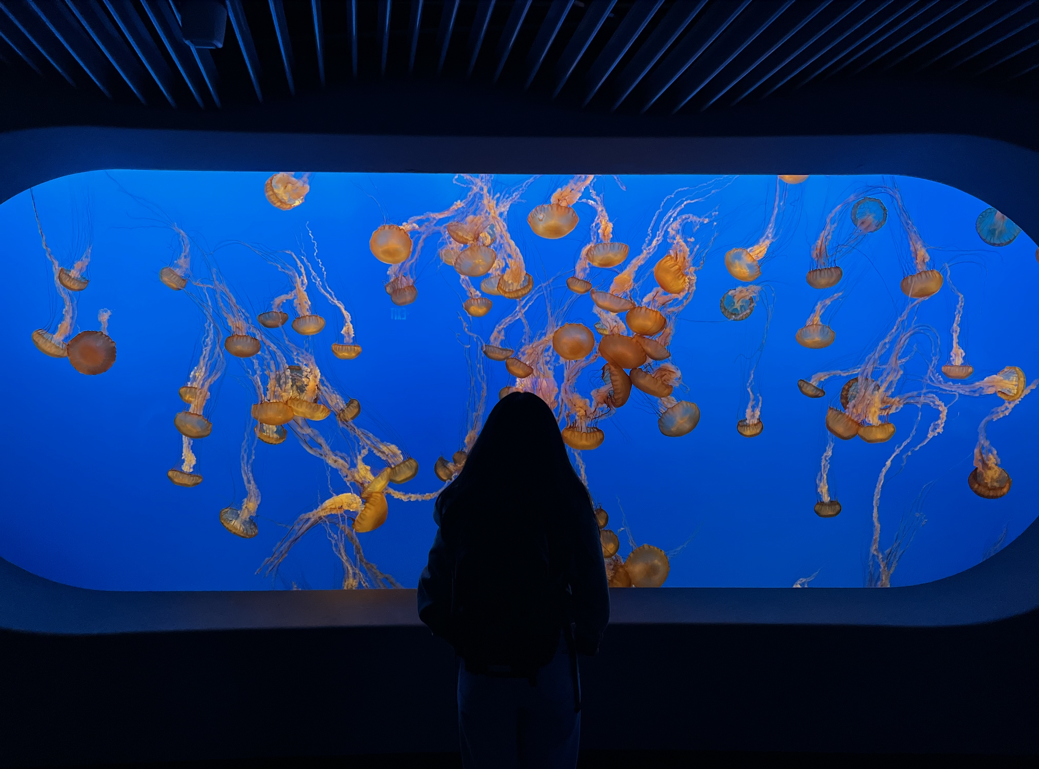 Screenshot 2025-05-03 at 10.58.46 PM.png