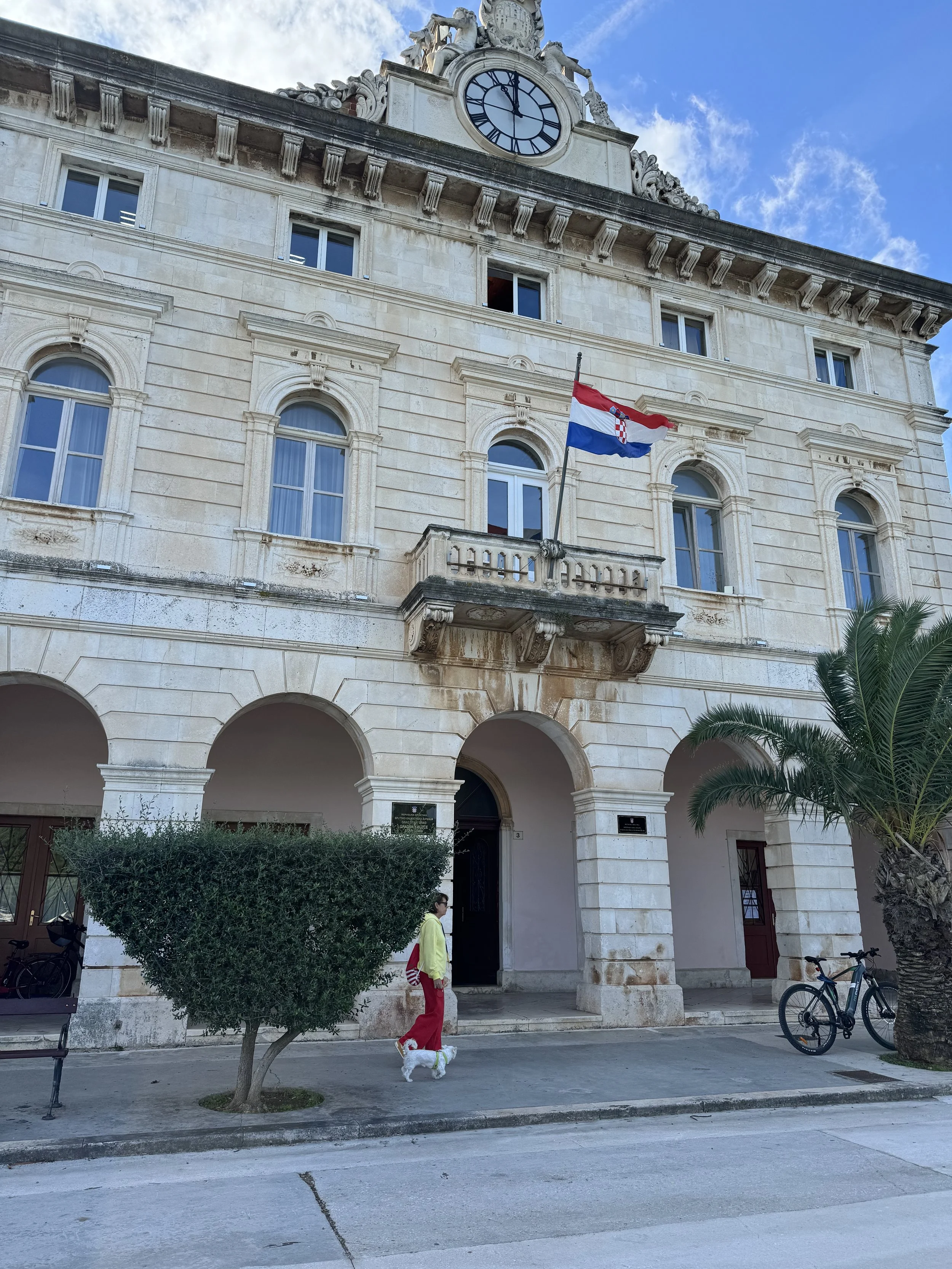 A government building in Stari Grad with a woman walking her small dog on the sidewalk, with a bicycle and palm tree nearby.