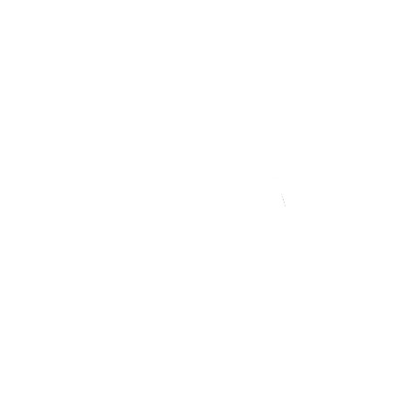 Fruits and nuts symbolizing optimal nutrition