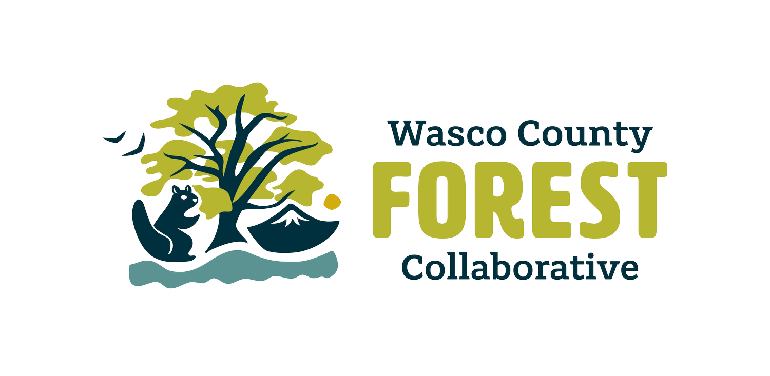 Wasco County Forest Collaborative
