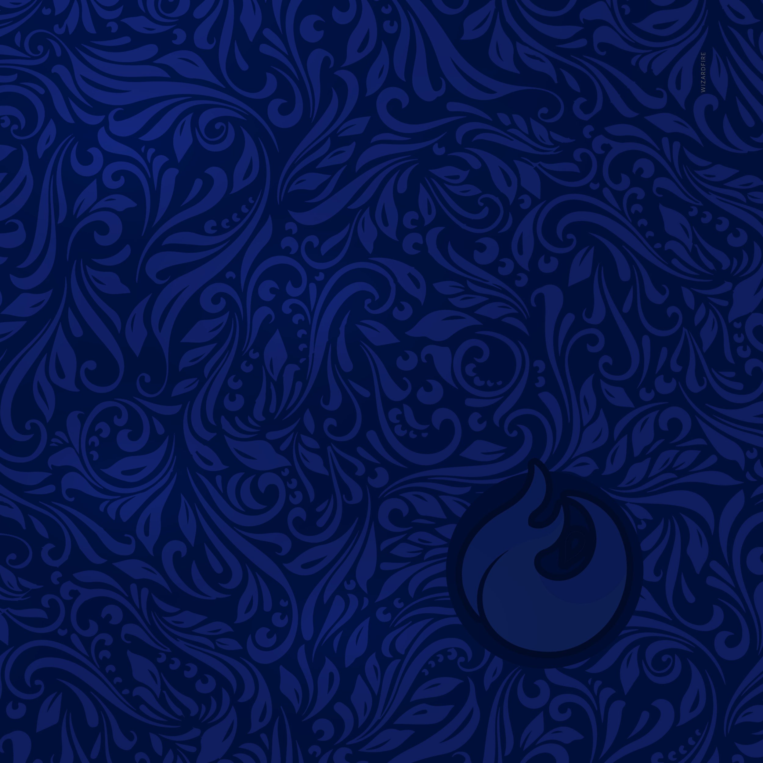 closeup1.jpg