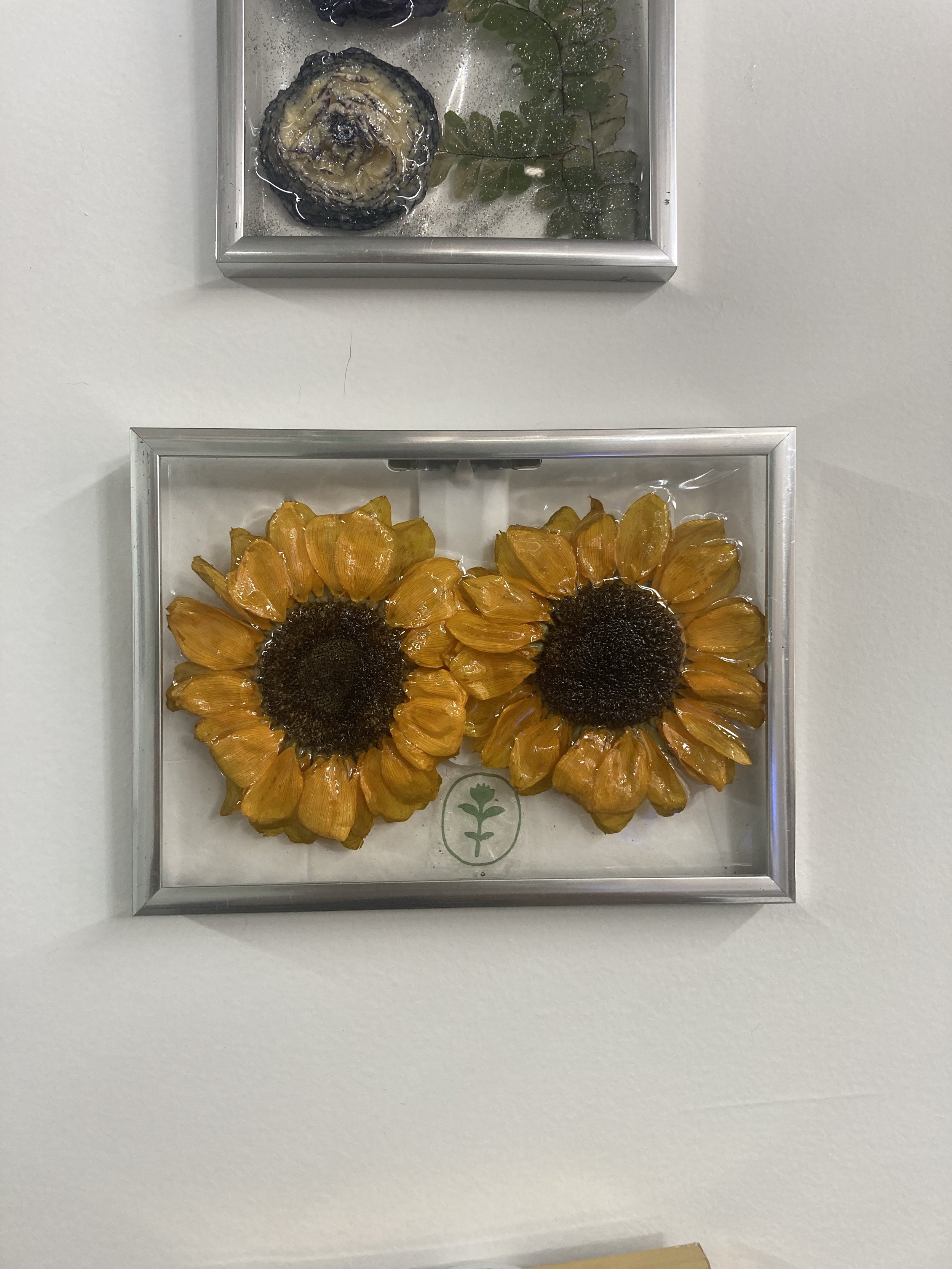 5x7 Silver-framed Wallflower