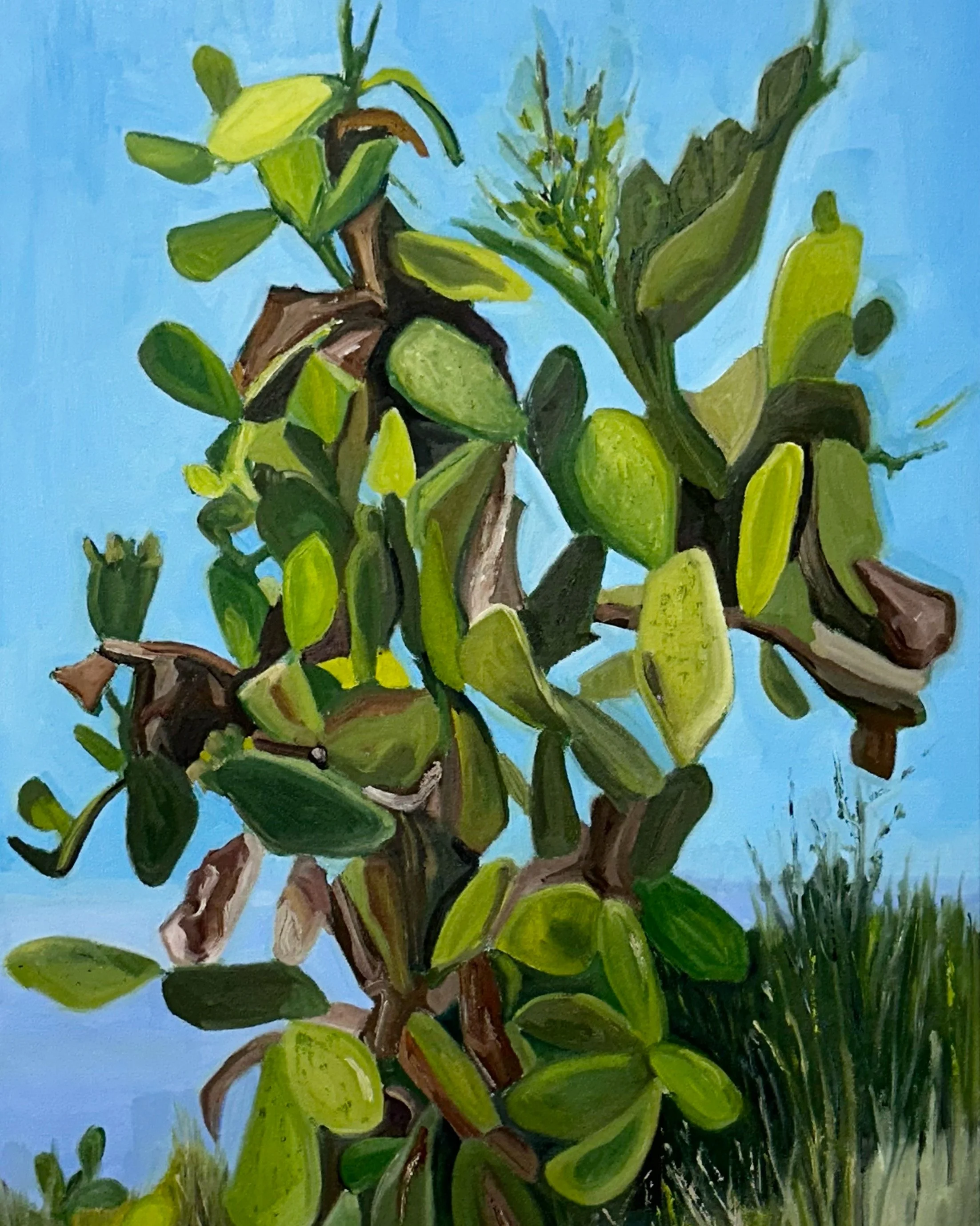 "CACTUS", OIL ON CANVAS, 18" X 24"