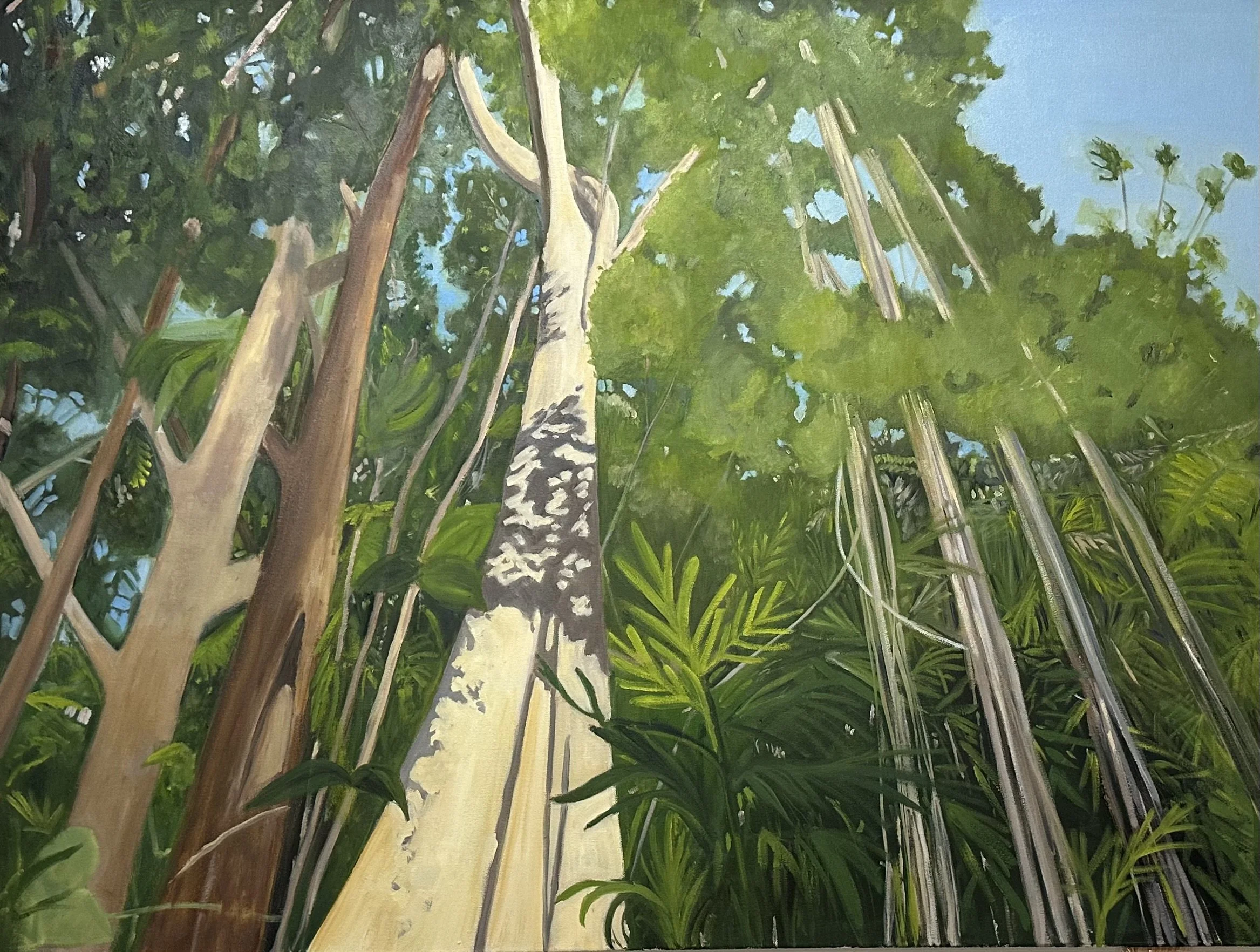 "MONTE ADENTRO", OIL ON CANVAS, 36" x 48"