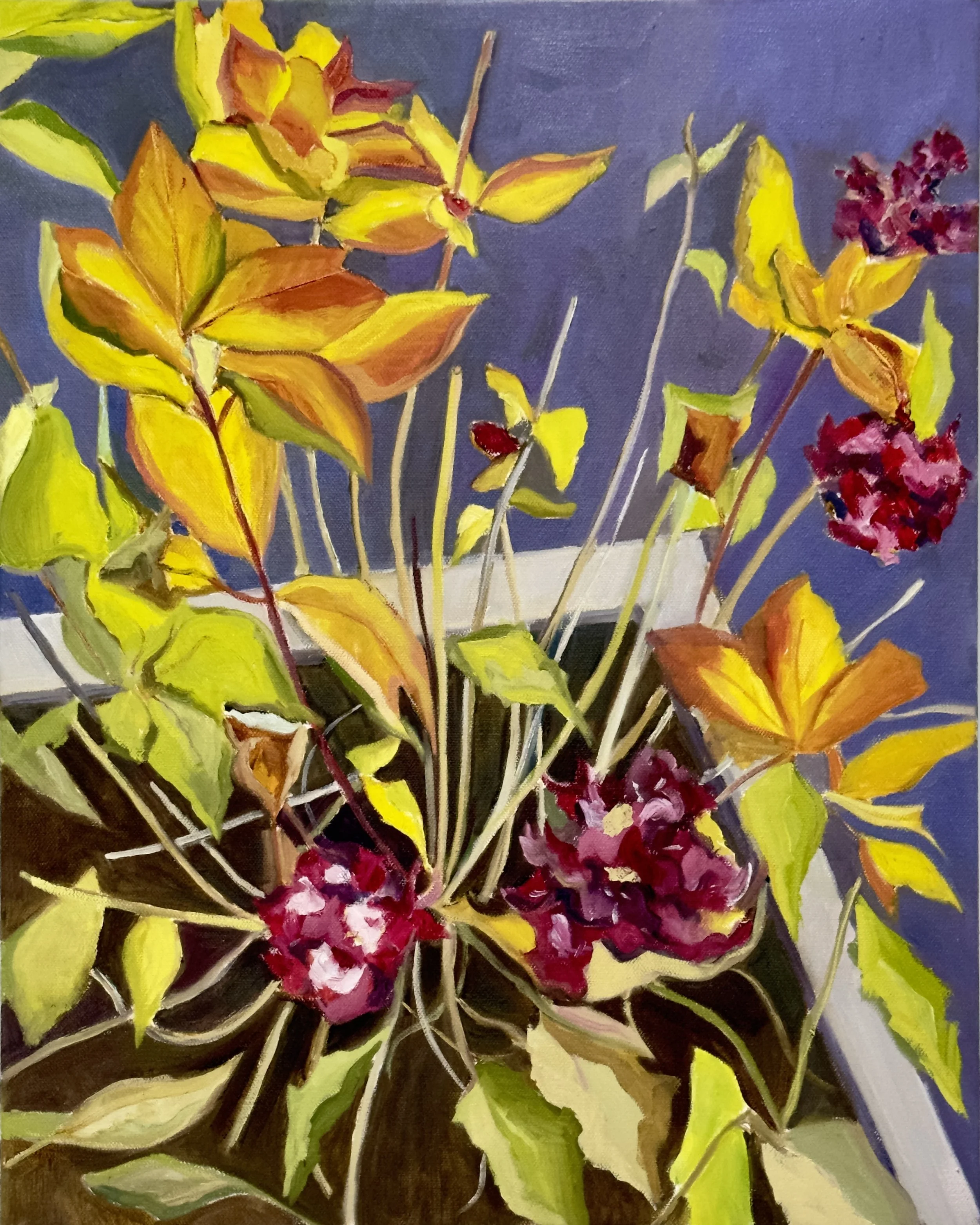 HYDRANGEAS IN FALL. OIL ON CANVAS. 16" X 20"