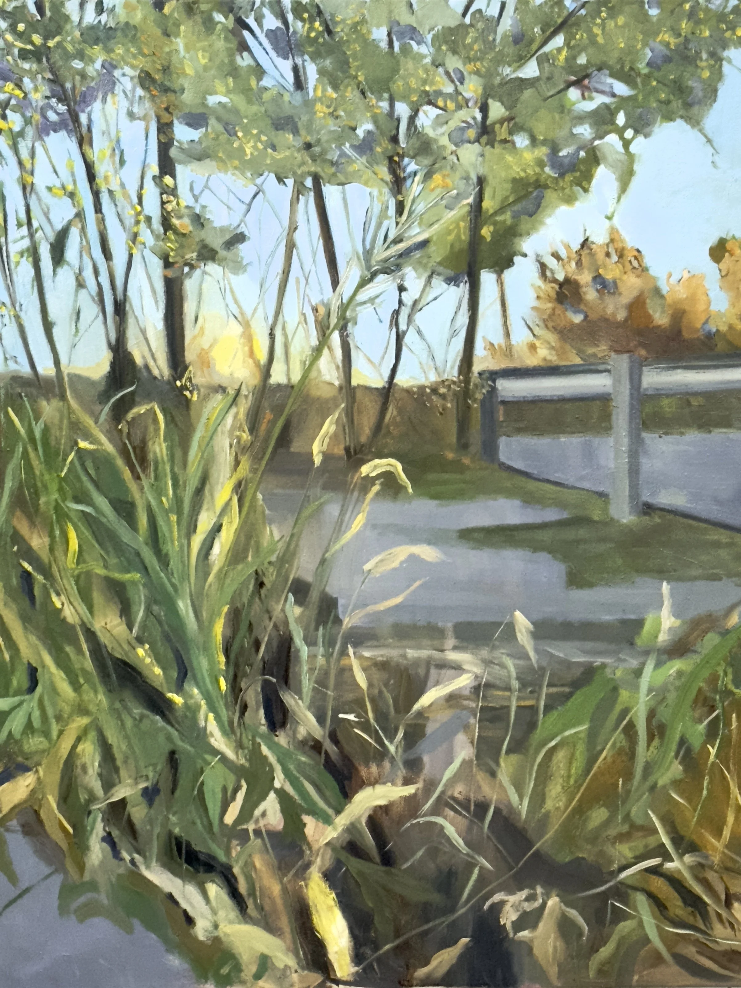 PALISADES SUNRISE, OIL ON CANVAS, 24" X 30"