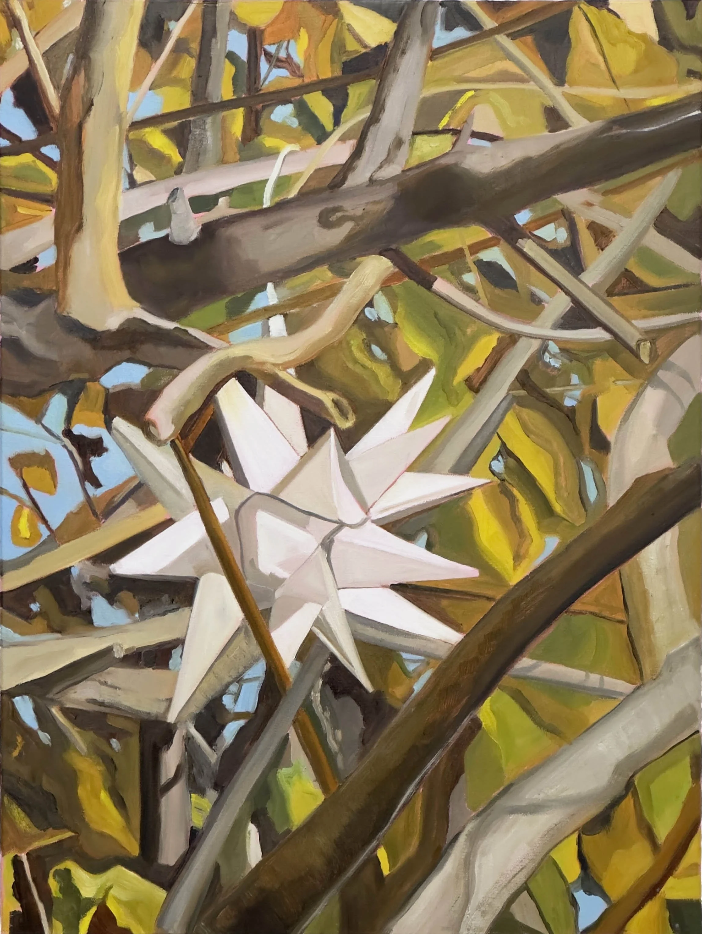 STAR, OIL ON CANVAS, 18" X 24"