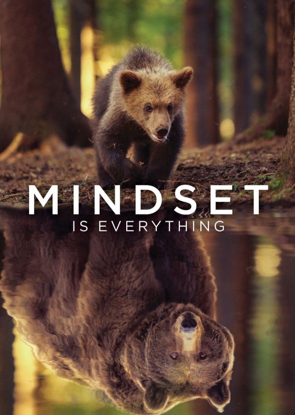 MINDSET OURS 40/60 CM