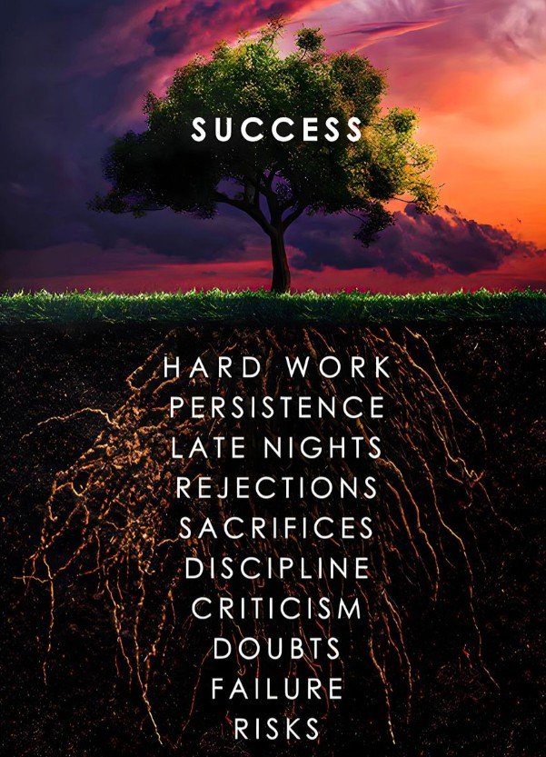 CITATION SUCCES 6866 40/60CM HD