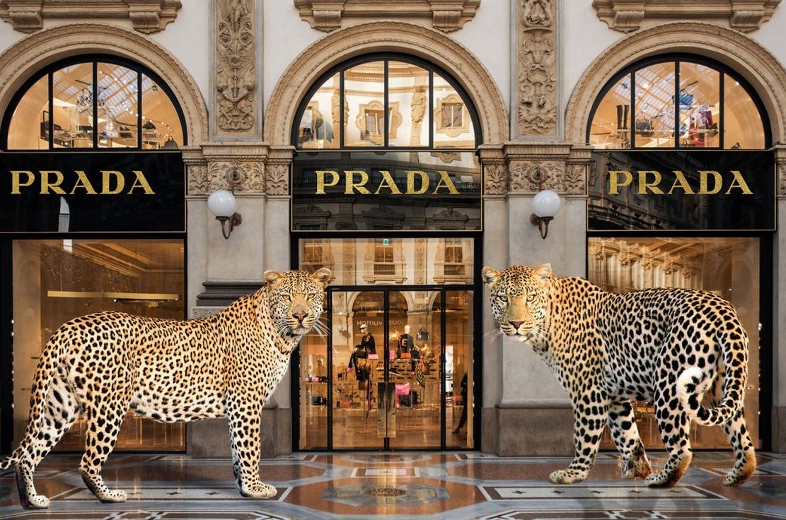 BOUIQUE PRADA 40/60 CM HD