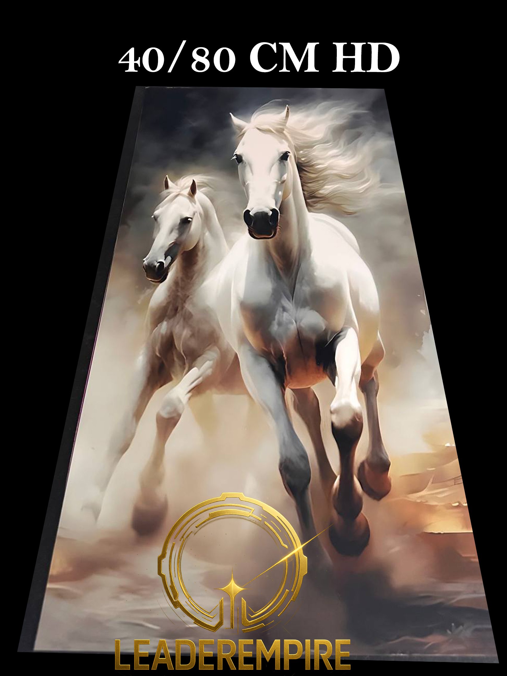 Comme les chevaux blancs dans le vent, je vais là où la liberté précède la peur. FORMAT " 40/80 CM