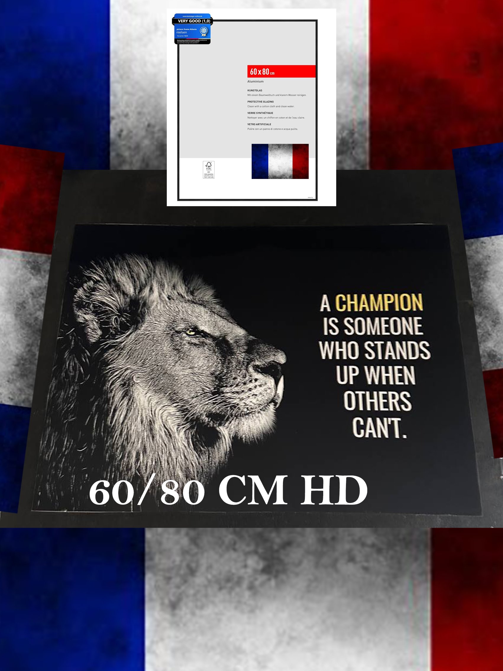 "Le lion ne suit aucun chemin, il le trace — avec fierté, courage et silence." 60/80 CM HD