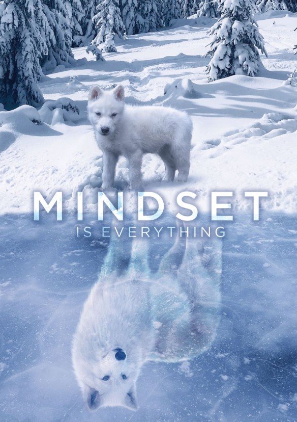 MINDSET LOUP BLAN 40/60CM HD