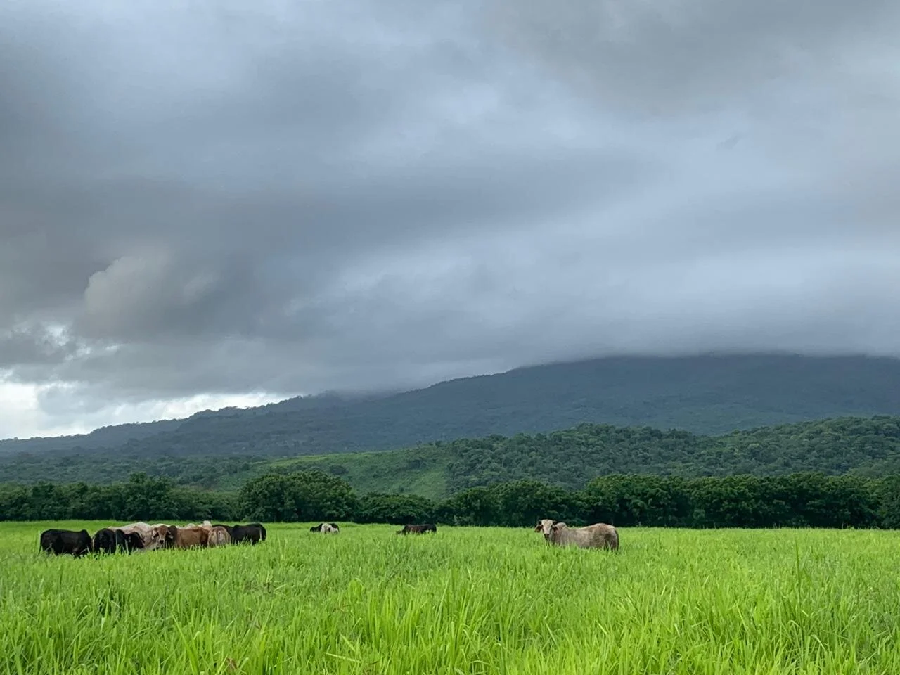 WhatsApp Image 2020-07-28 at 8.45.26 AM (2).jpeg