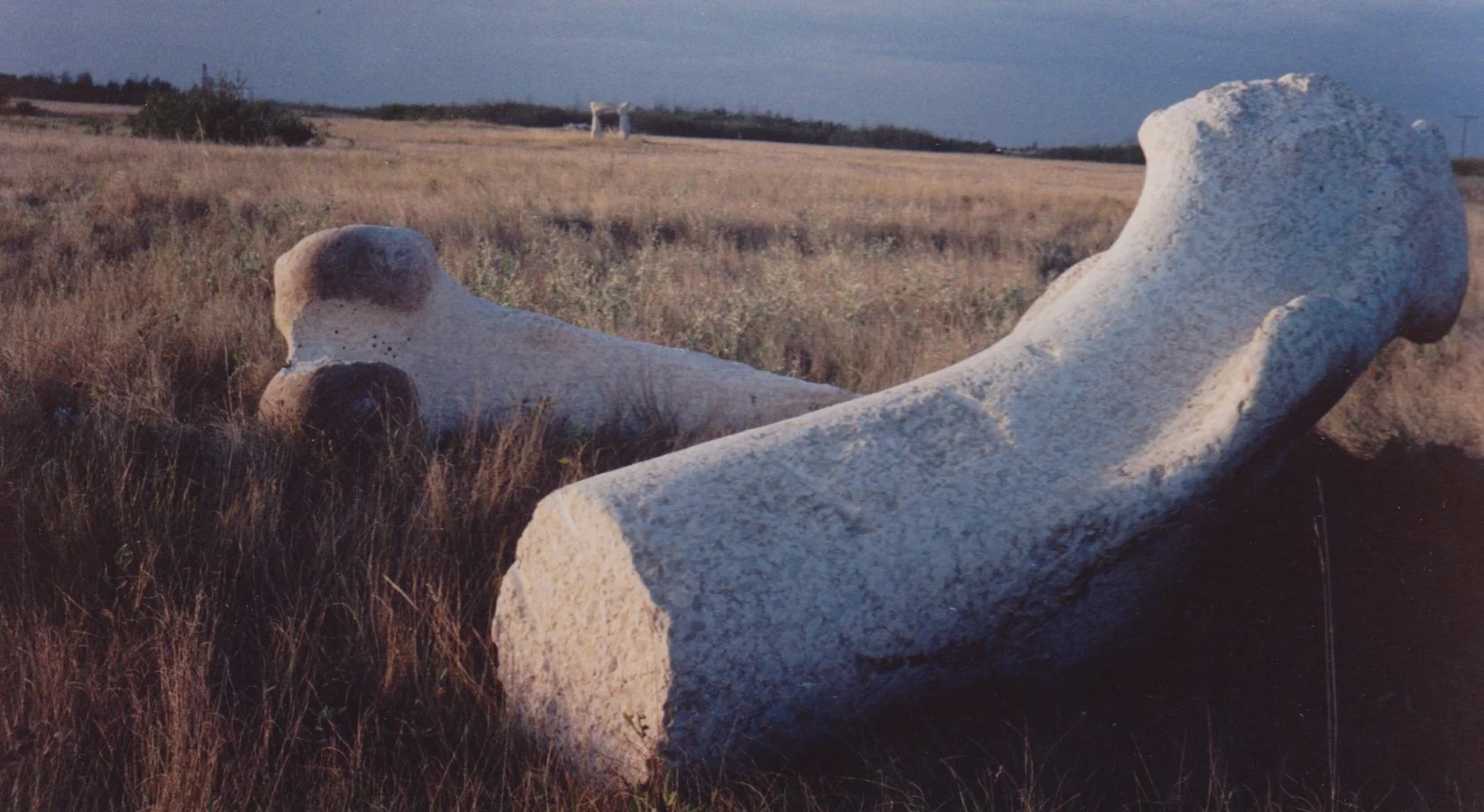 Imperishable Remains.jpeg