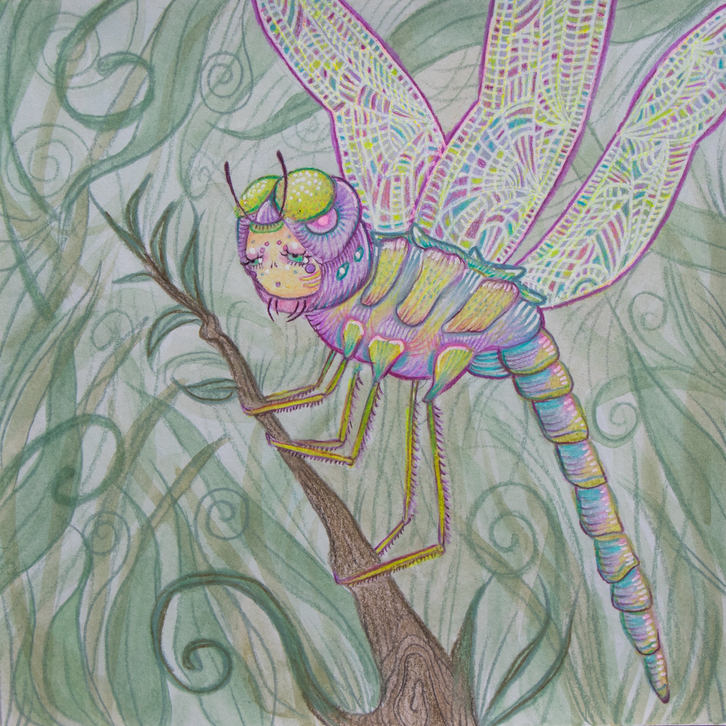 Dragonfly 1.jpg