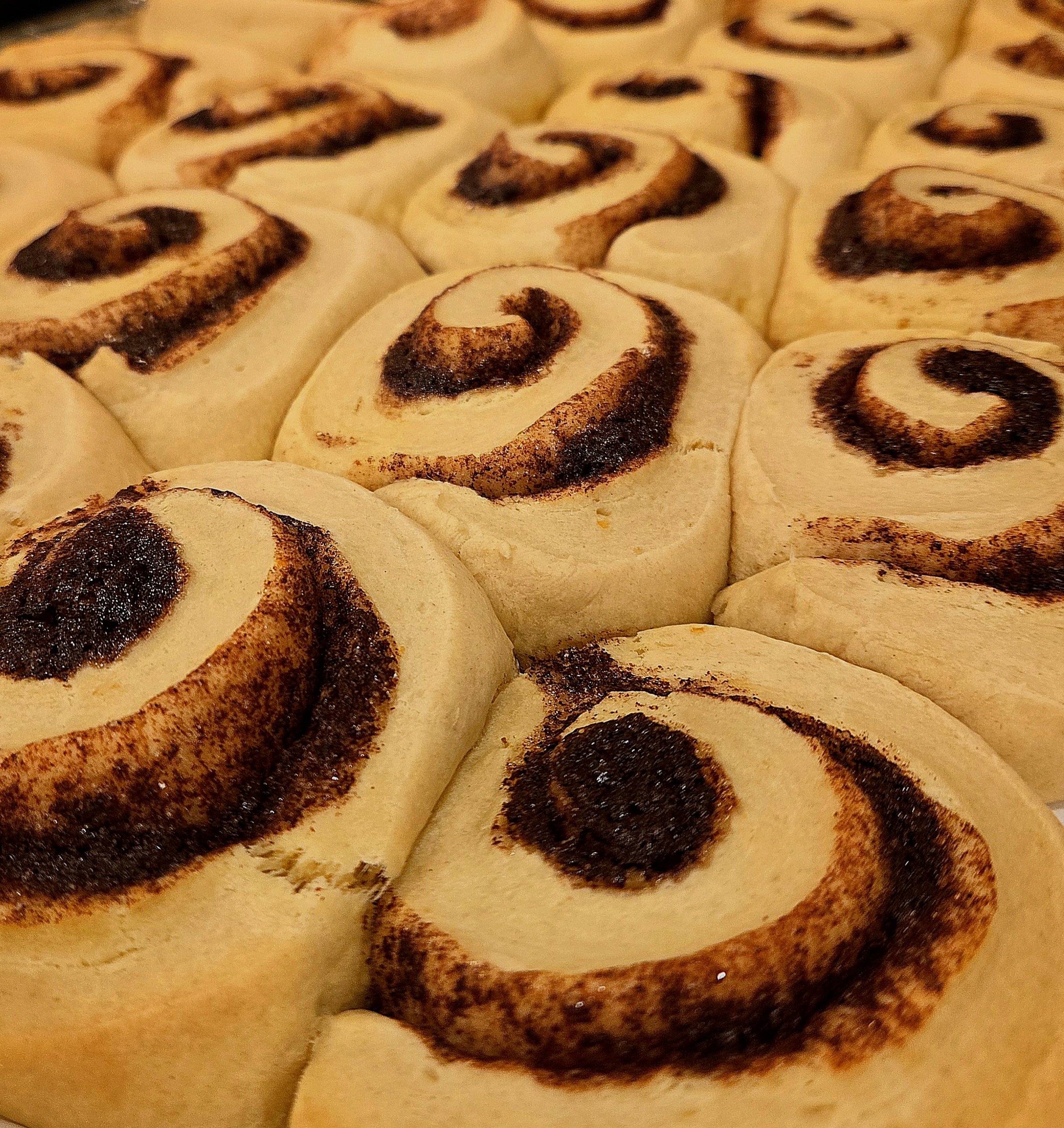 Cinna nom nom nom Rolls