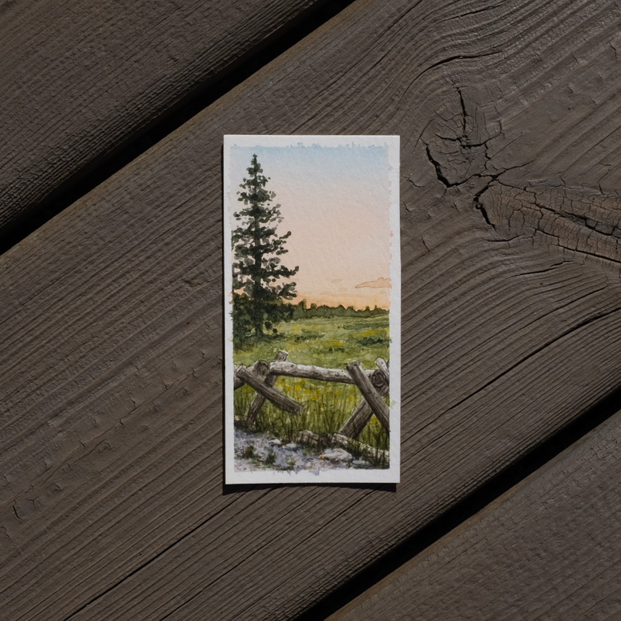 Watercolor painting of a natural landscape featuring a tall pine tree, a grassy field, wooden fence posts, and a sunset sky.