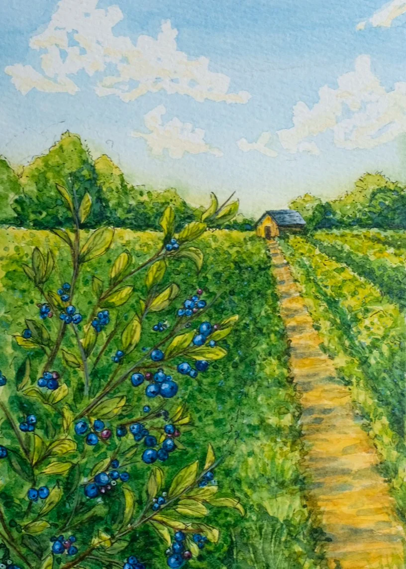 "Summer Rows" - Ottawa County Art Trust