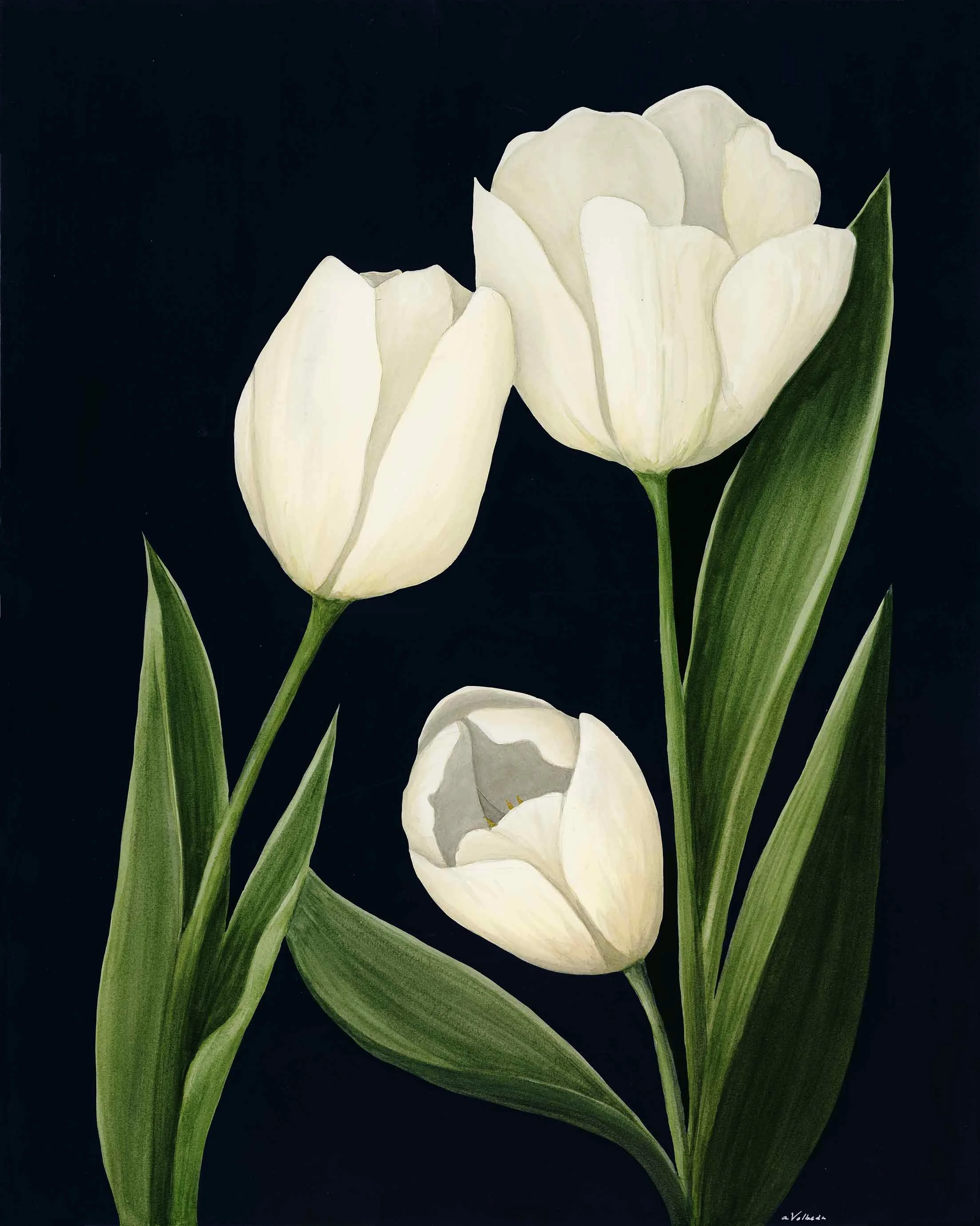 "Luminous Quiet" - Private Collection