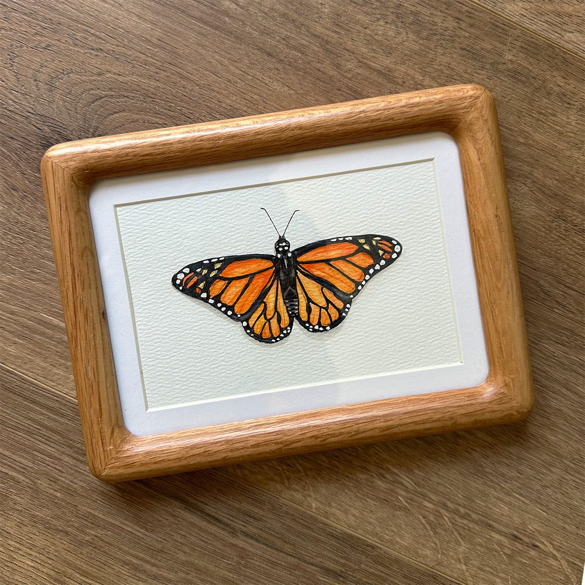"From the Field Guide No. 1 – Monarch" - Personal Collection