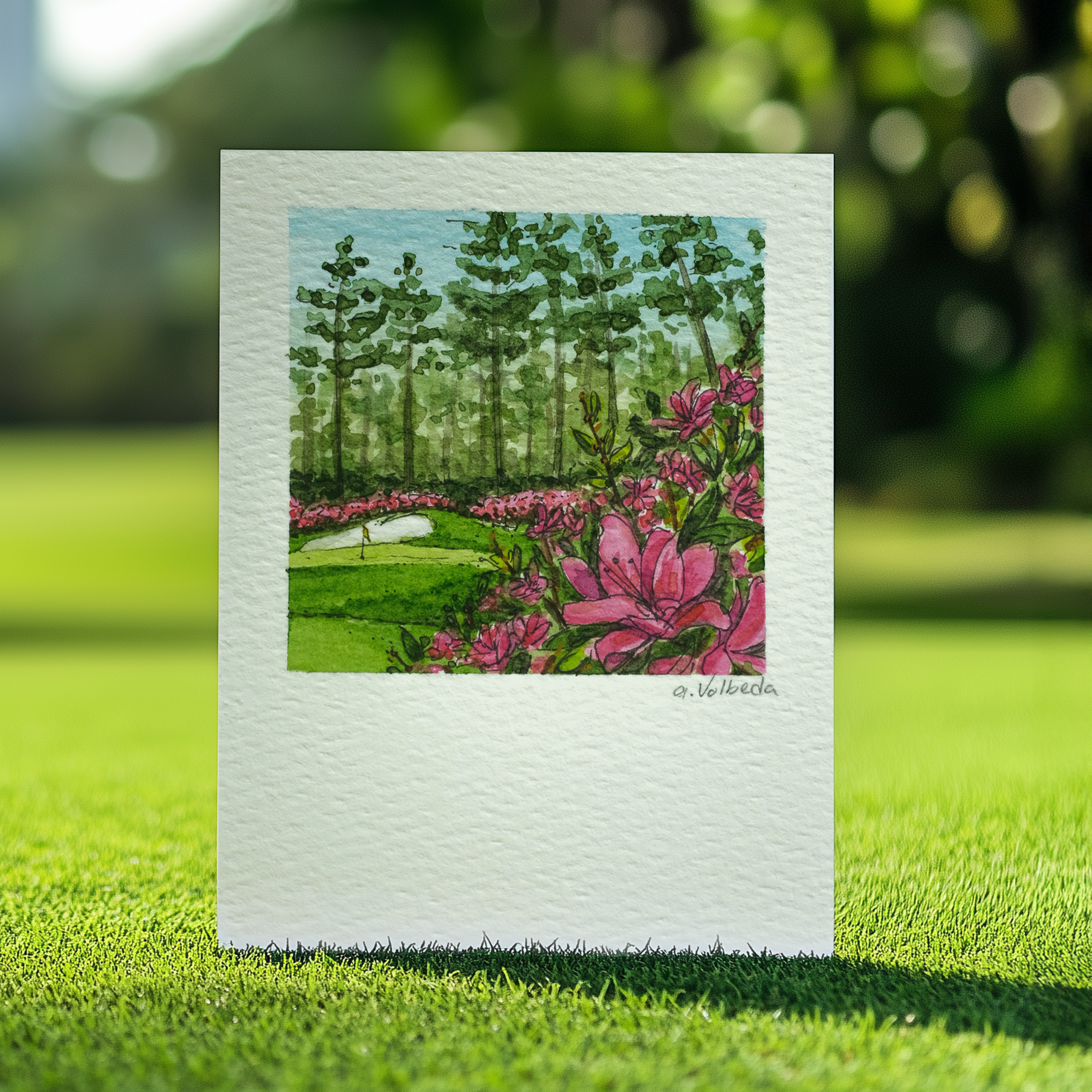 Azalea